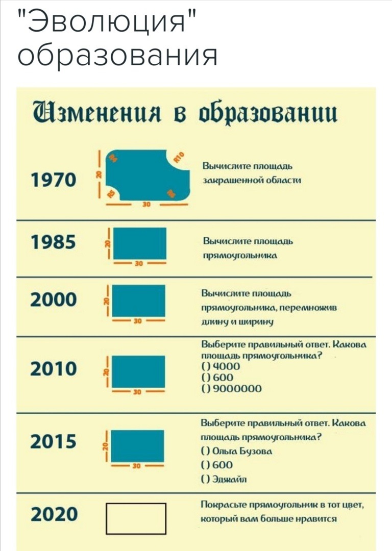 Деградация образования | Пикабу