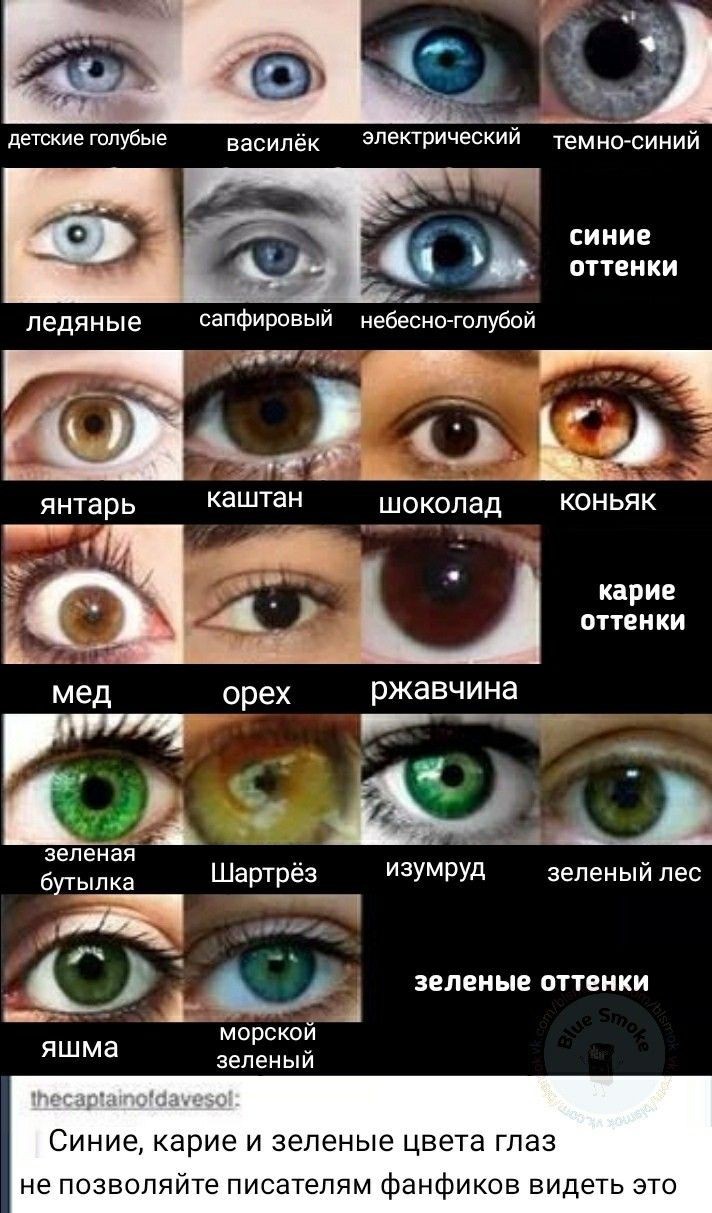 Многообразие цвета в человеческих глазах: от черного до красного