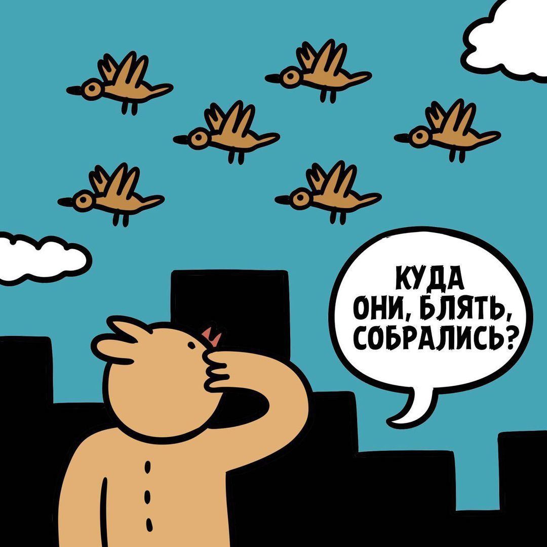 Ох уж эти пернатые | Пикабу