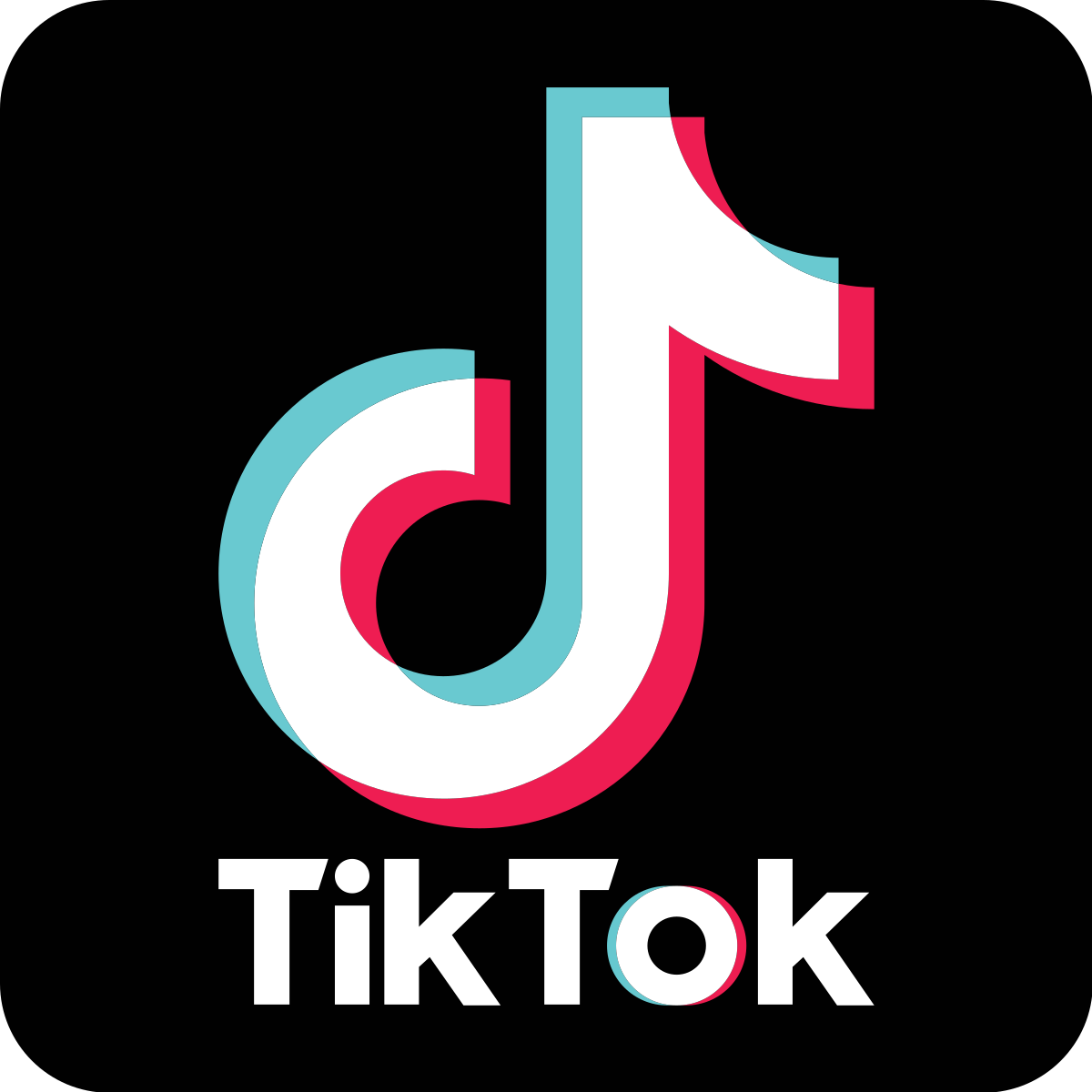 В Италии частично заблокировали TikTok после гибели ребенка | Пикабу