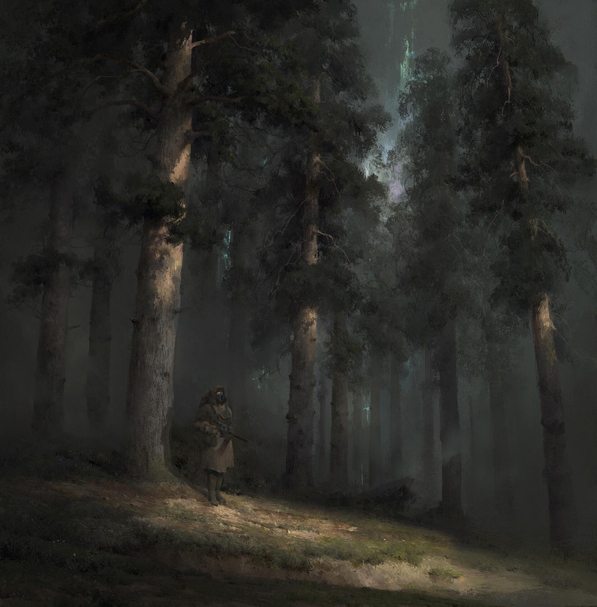 Мрачный и загадочный лес от Vladimir Motsar | Пикабу