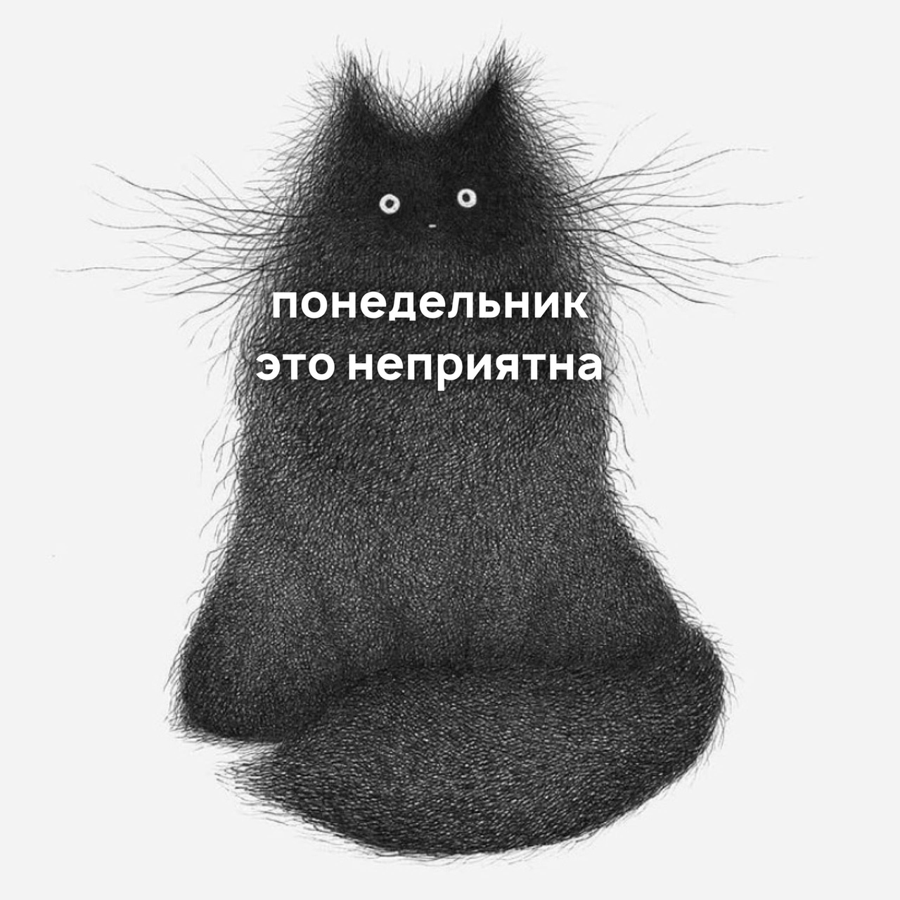 И снова понедельник... | Пикабу