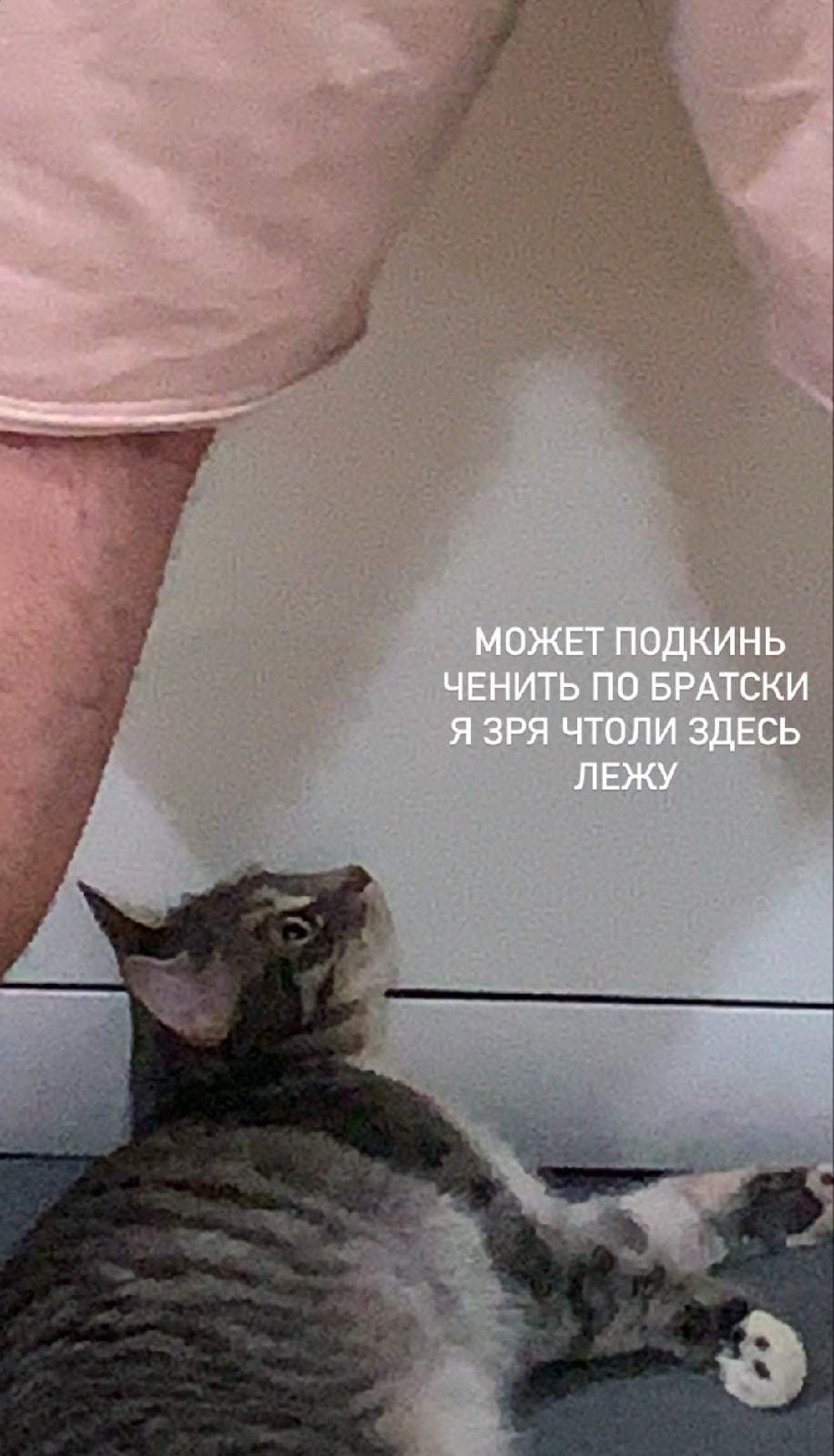 Наглость Второе Счастье Картинки