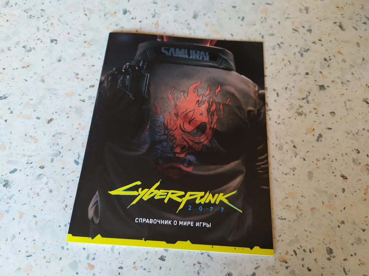 Что входит в Cyberpunk 2077 Steelbook edition | Пикабу