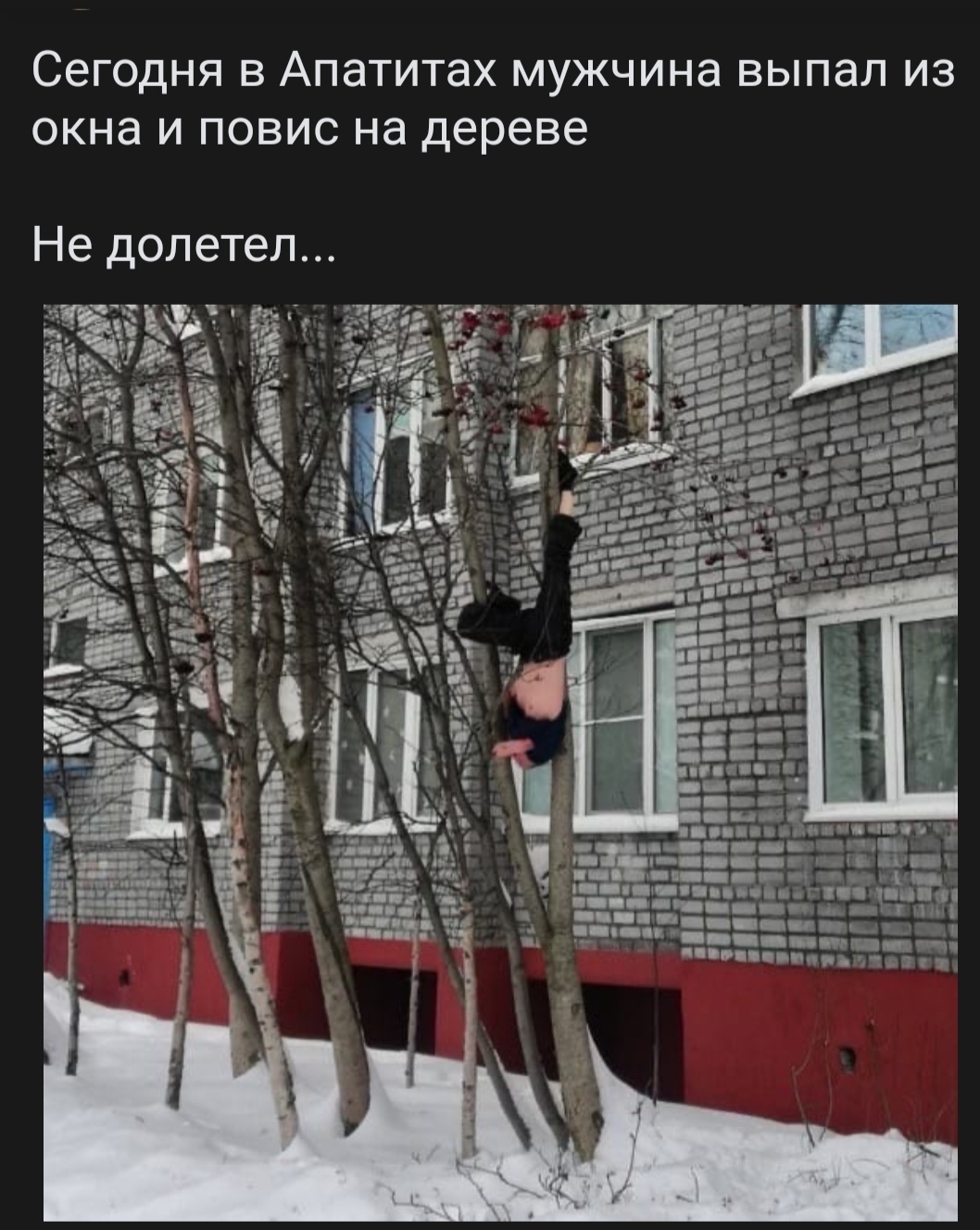 Не птица, летит и матерится | Пикабу