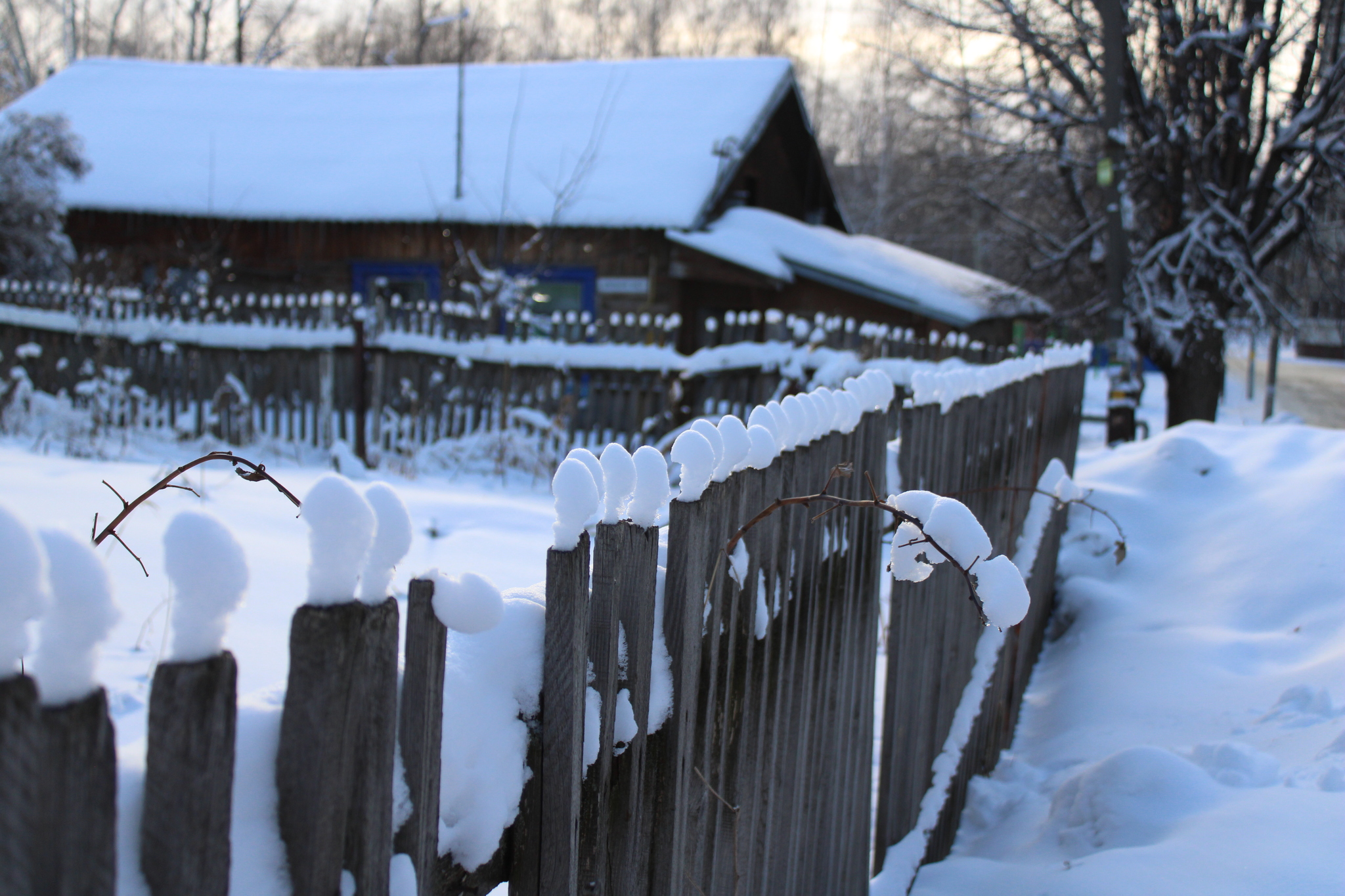 Снежные шапки | Пикабу
