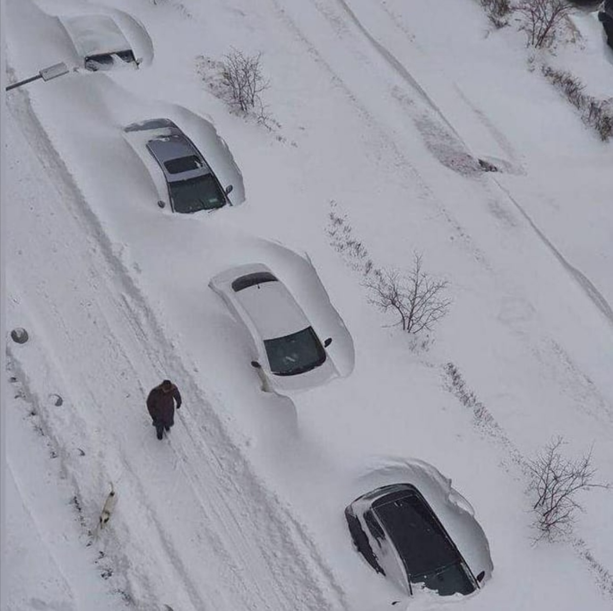Выпавший снег замело. Снегопад в Москве 13 февраля 2021. Машина занесенная снегом. Москва снегопад 2021. Сугробы в Москве 2021.