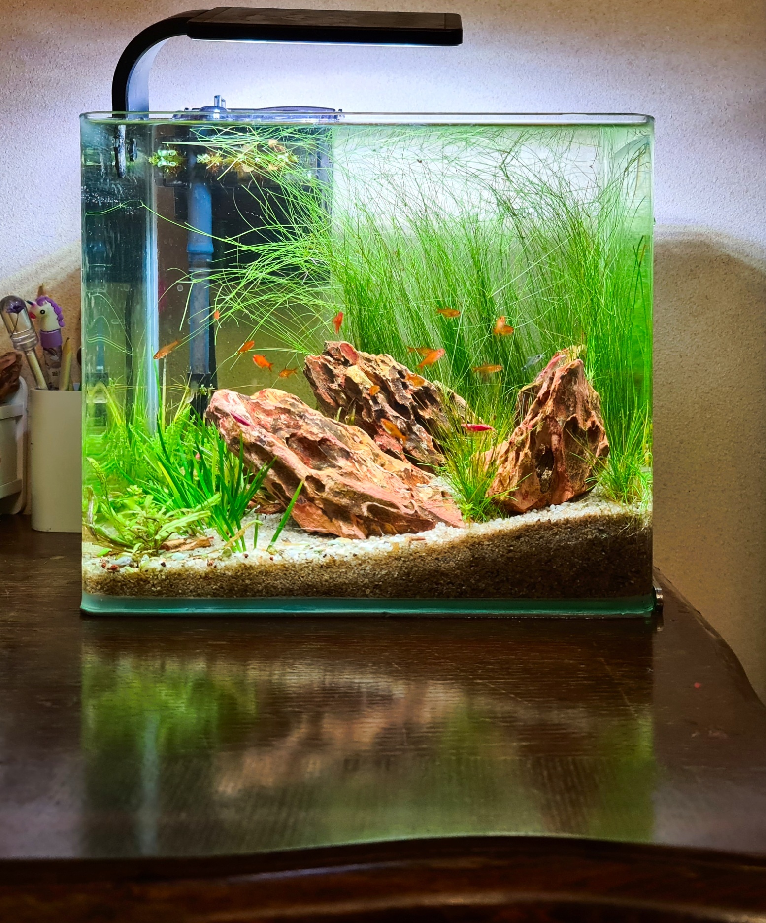 Купить маленький аквариум с уникальным дизайном недорого в Москве