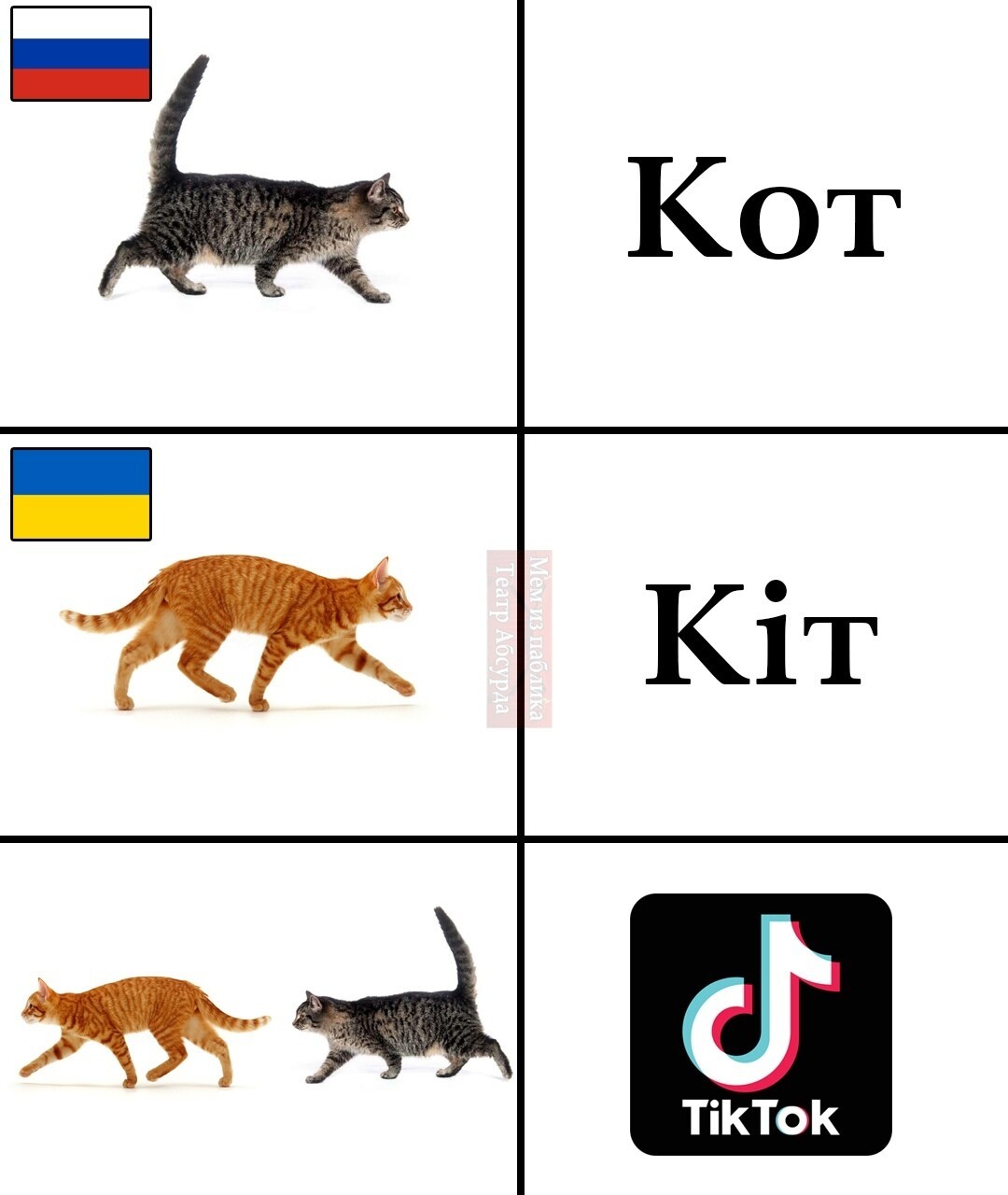 TikTok     