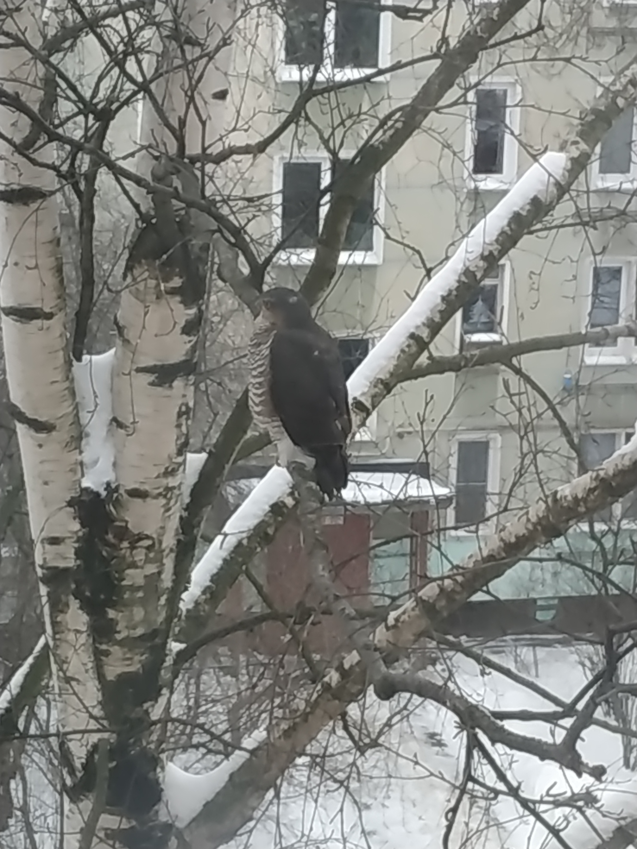 Однажды в городе | Пикабу