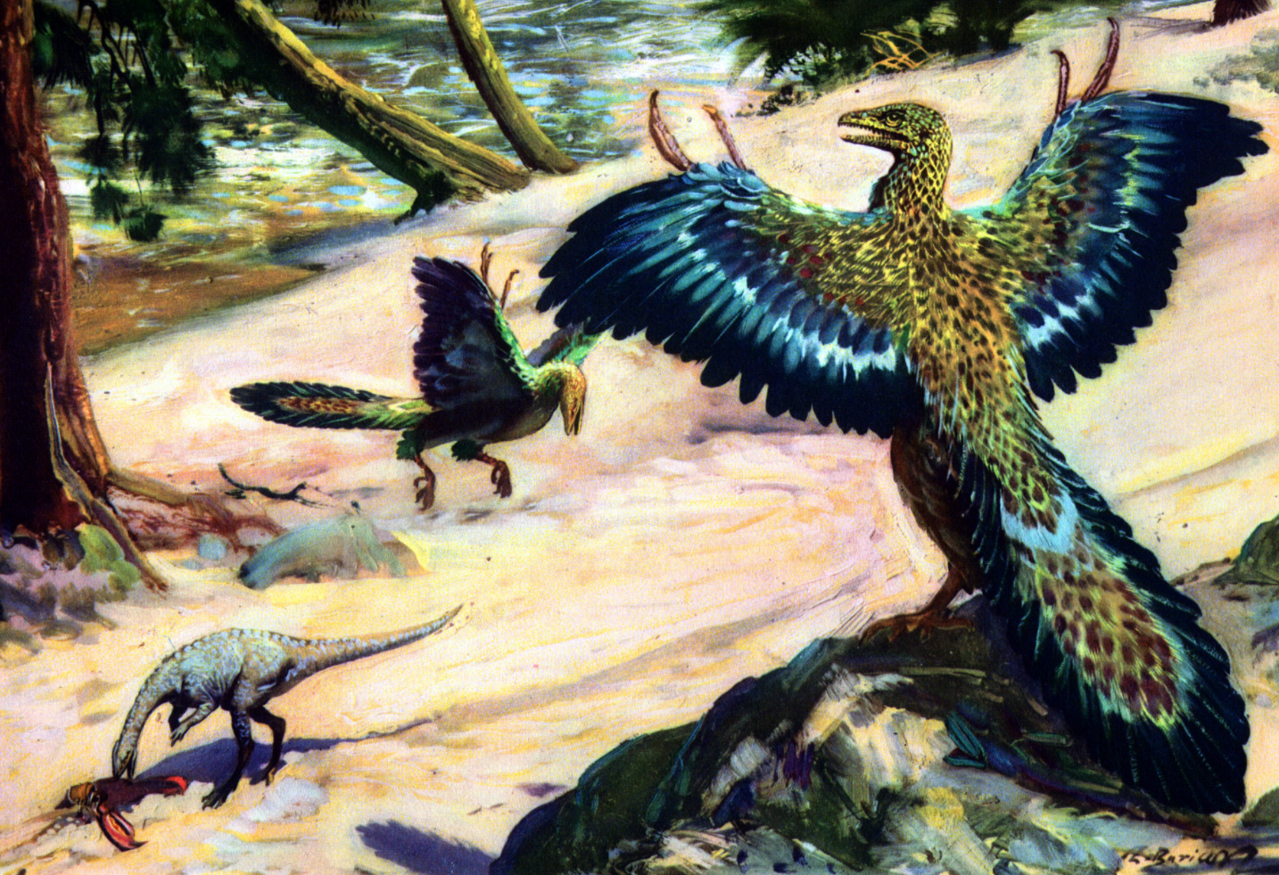 Происхождение и эволюция птиц