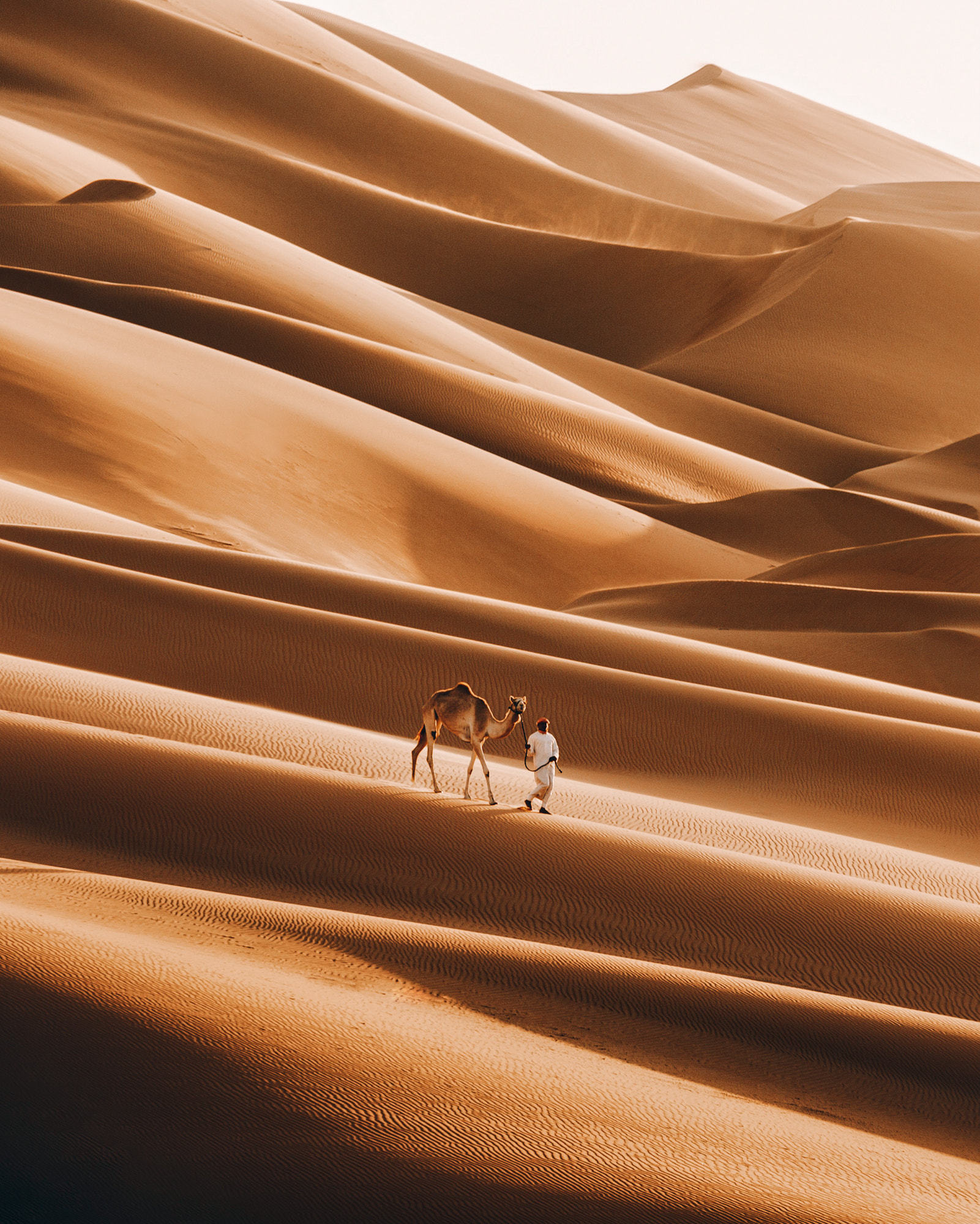 Пустыня Актеры И Роли Фото