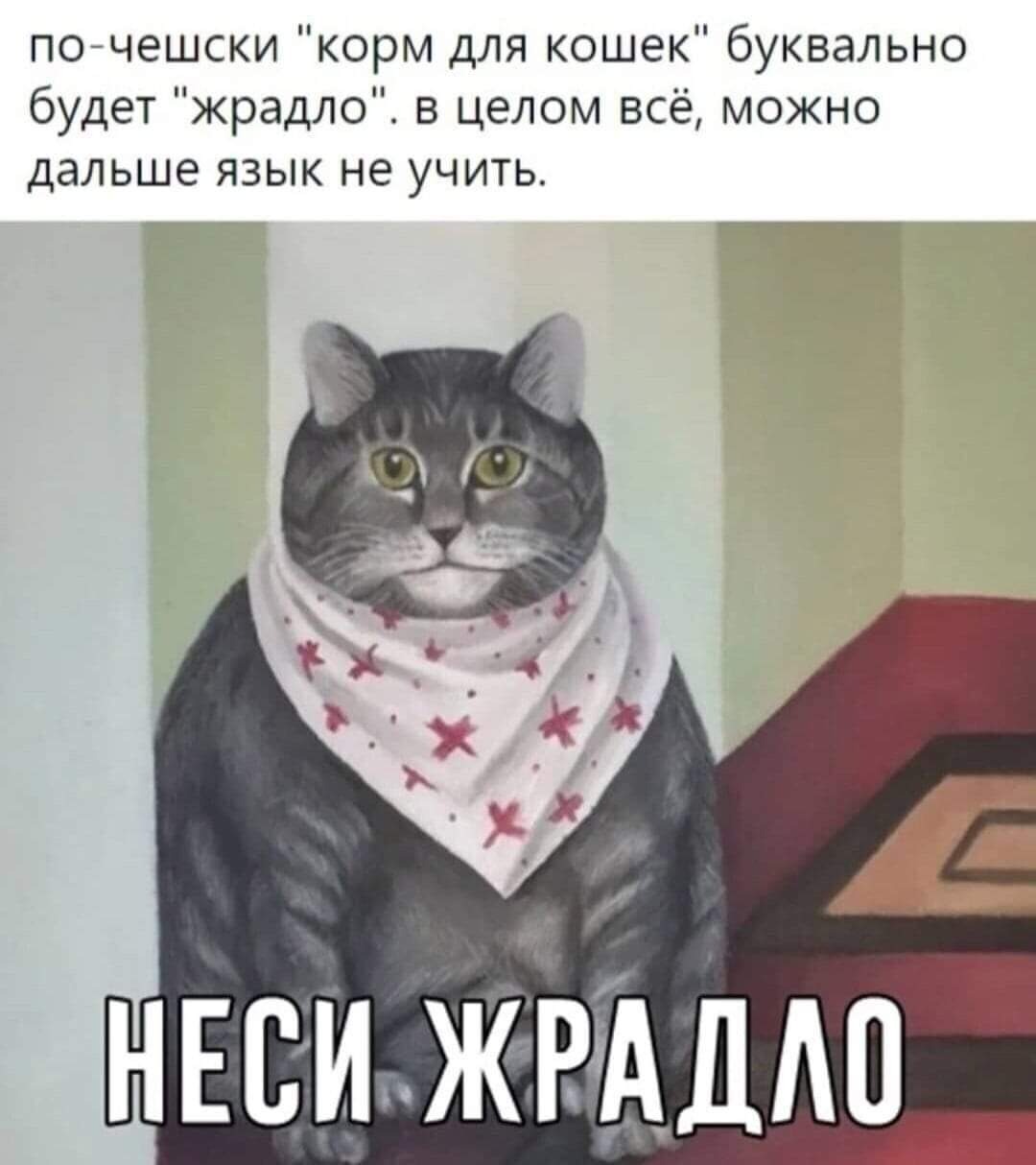 Чешский язык | Пикабу