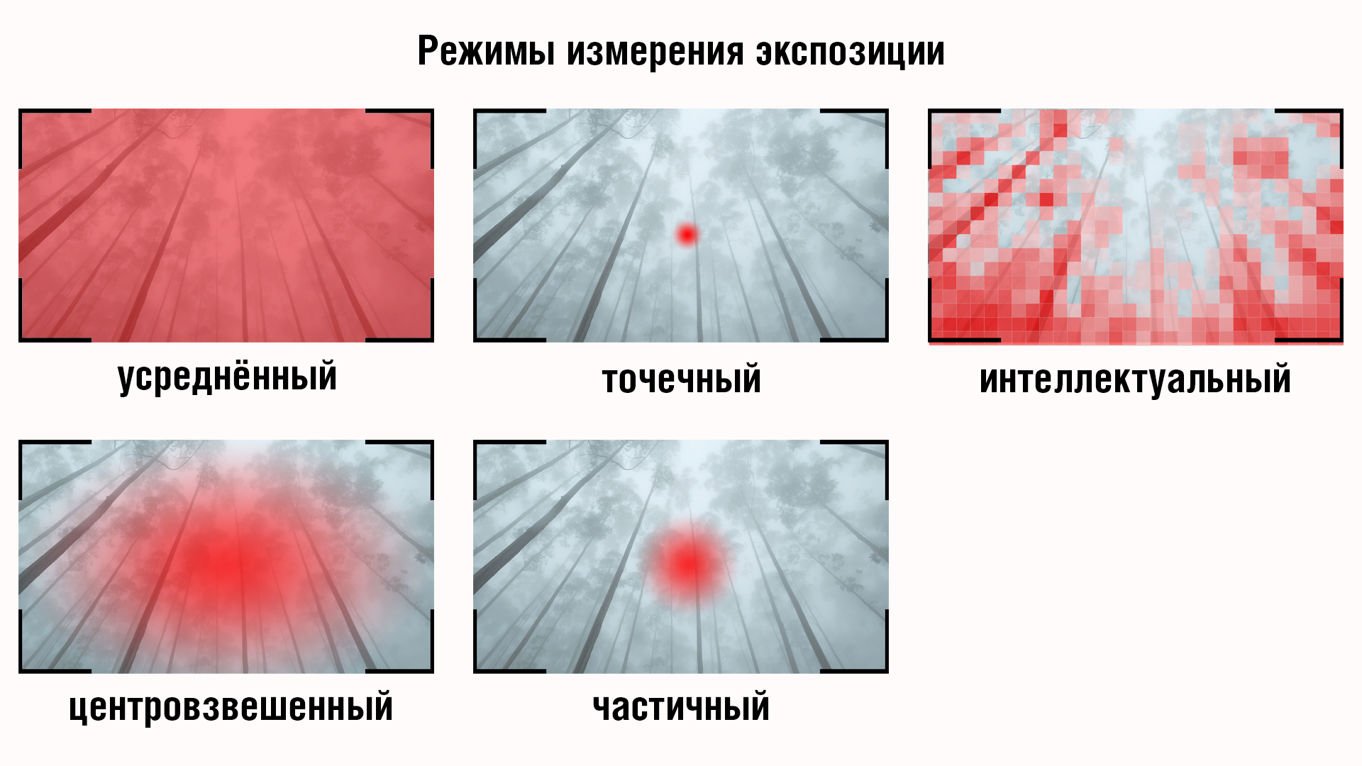 Как работает экспонометр, режимы экспозамера и компенсация экспозиции в  фотоаппарате | Пикабу