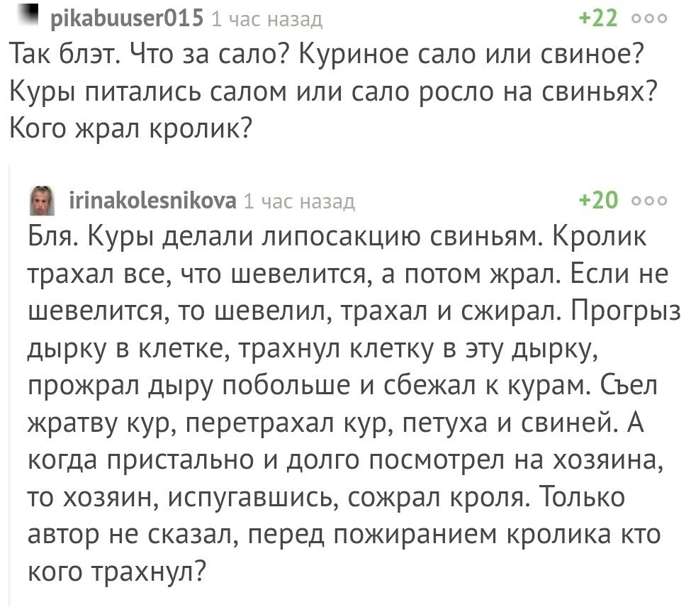 Комментарии как отдельный вид юмора | Пикабу