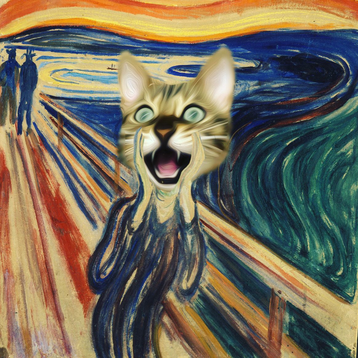 Крик кота