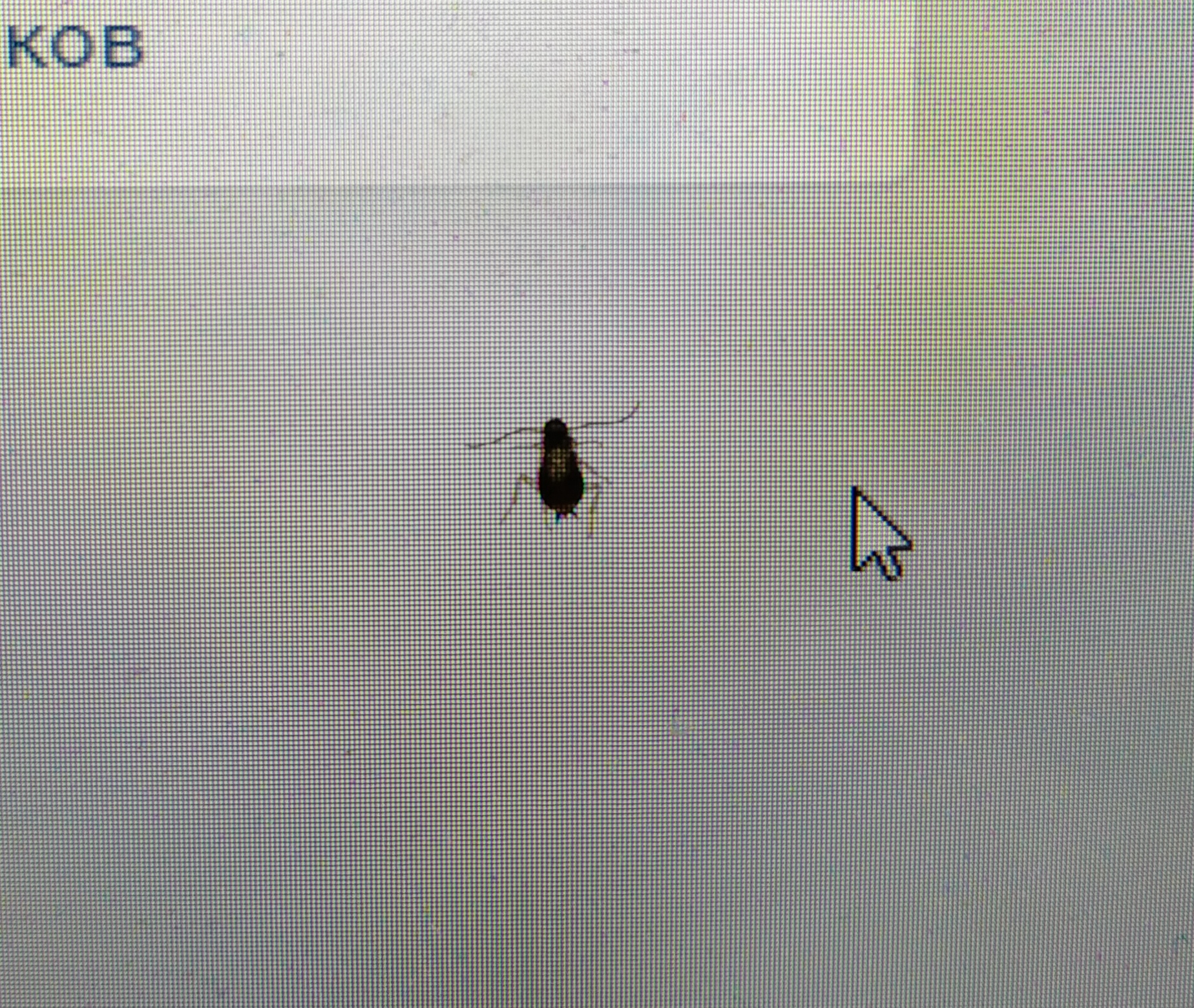 Бегающие тараканы по экрану