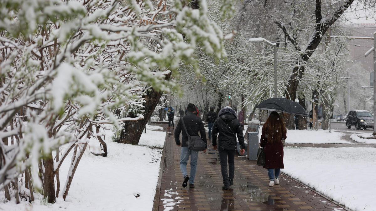 Звенит весенняя вьюга | Пикабу
