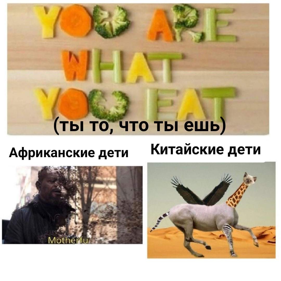 Ты то что ты ешь Пикабу 