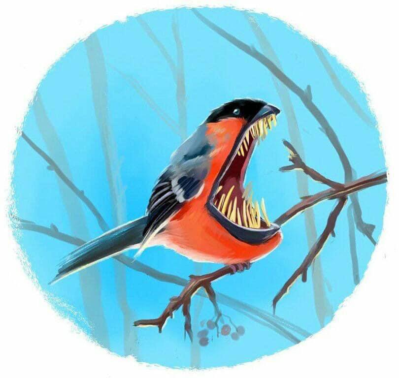 Снегирьеры | Пикабу