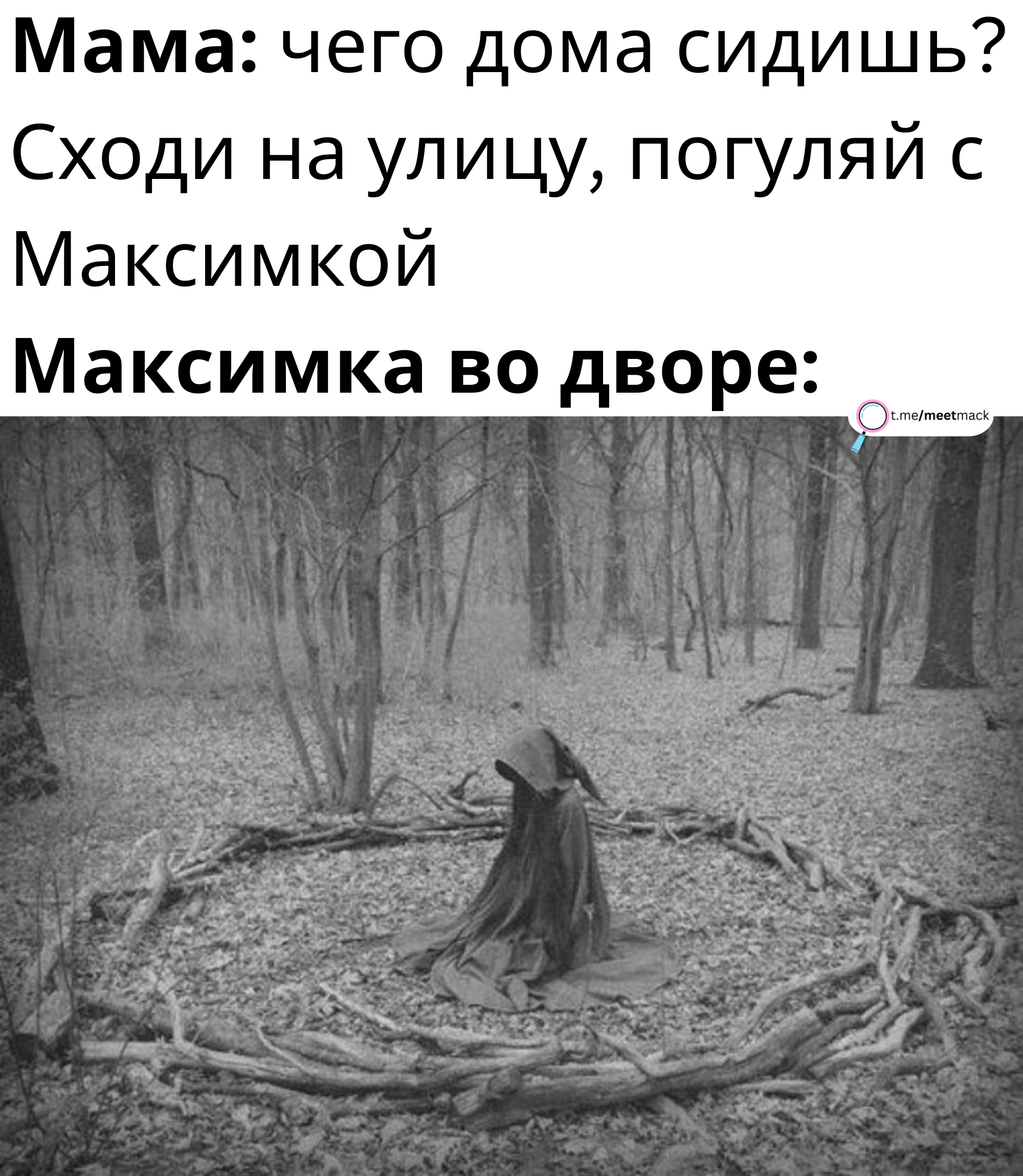 Любимый двор | Пикабу