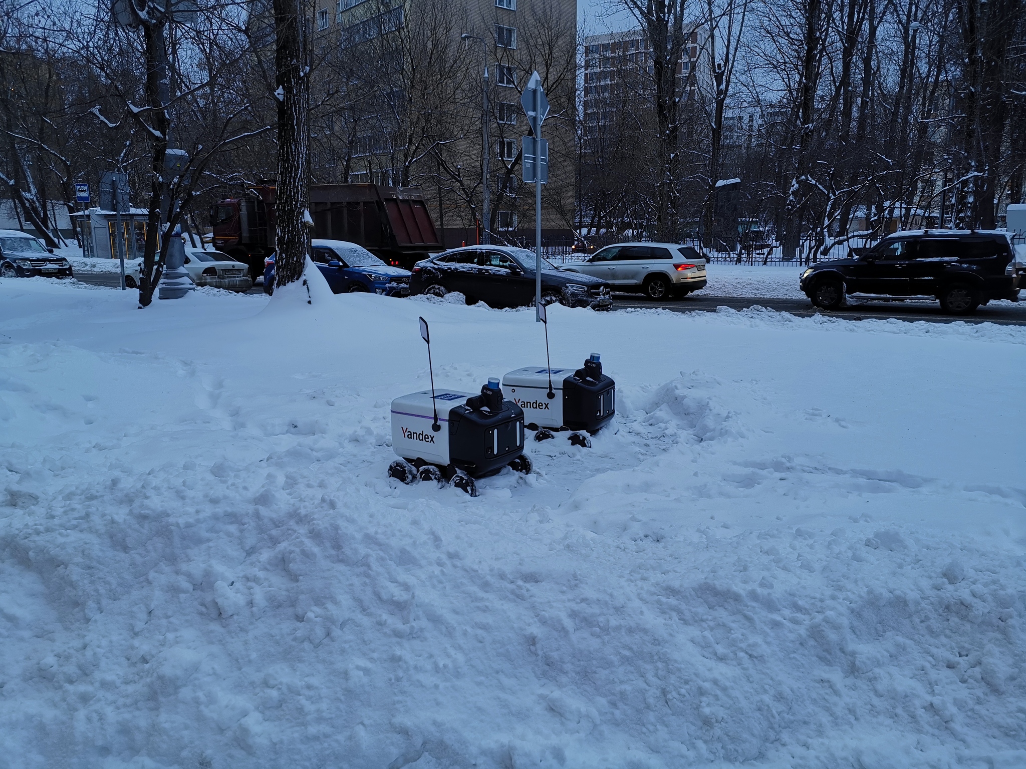 В снежном плену | Пикабу