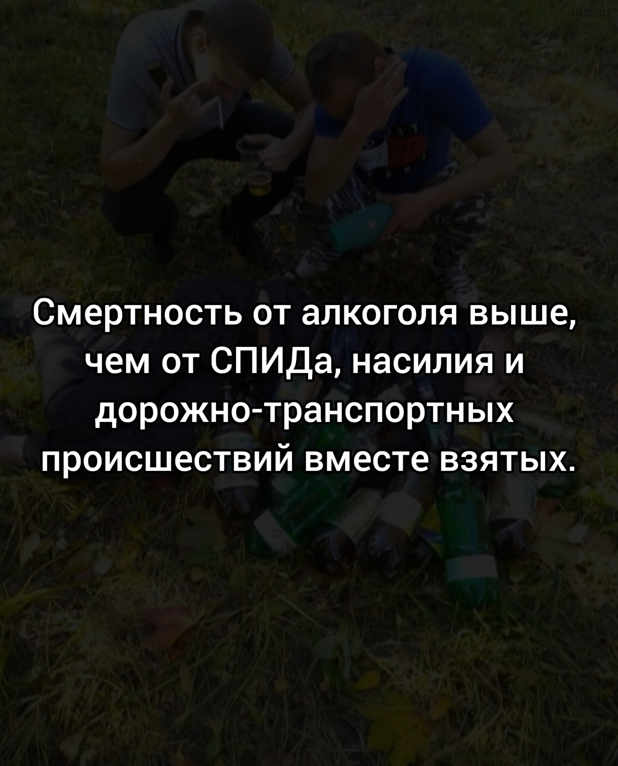 Смертность от алкоголя выше, чем от СПИДа, насилия и дорожно-транспортных  происшествий вместе взятых | Пикабу