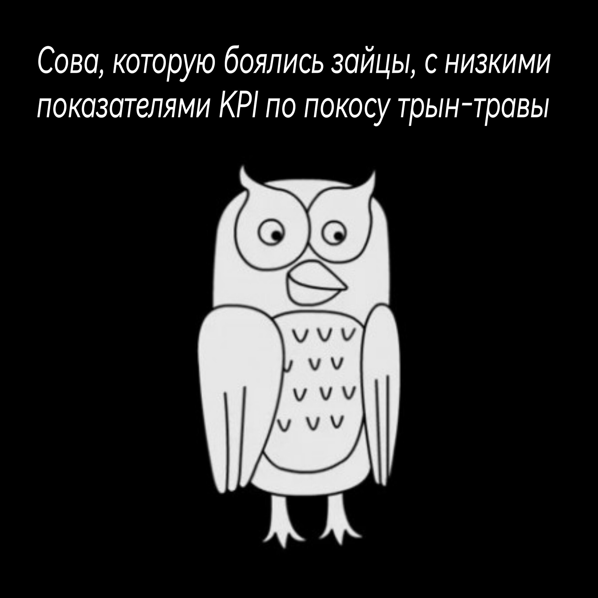 Вот она | Пикабу