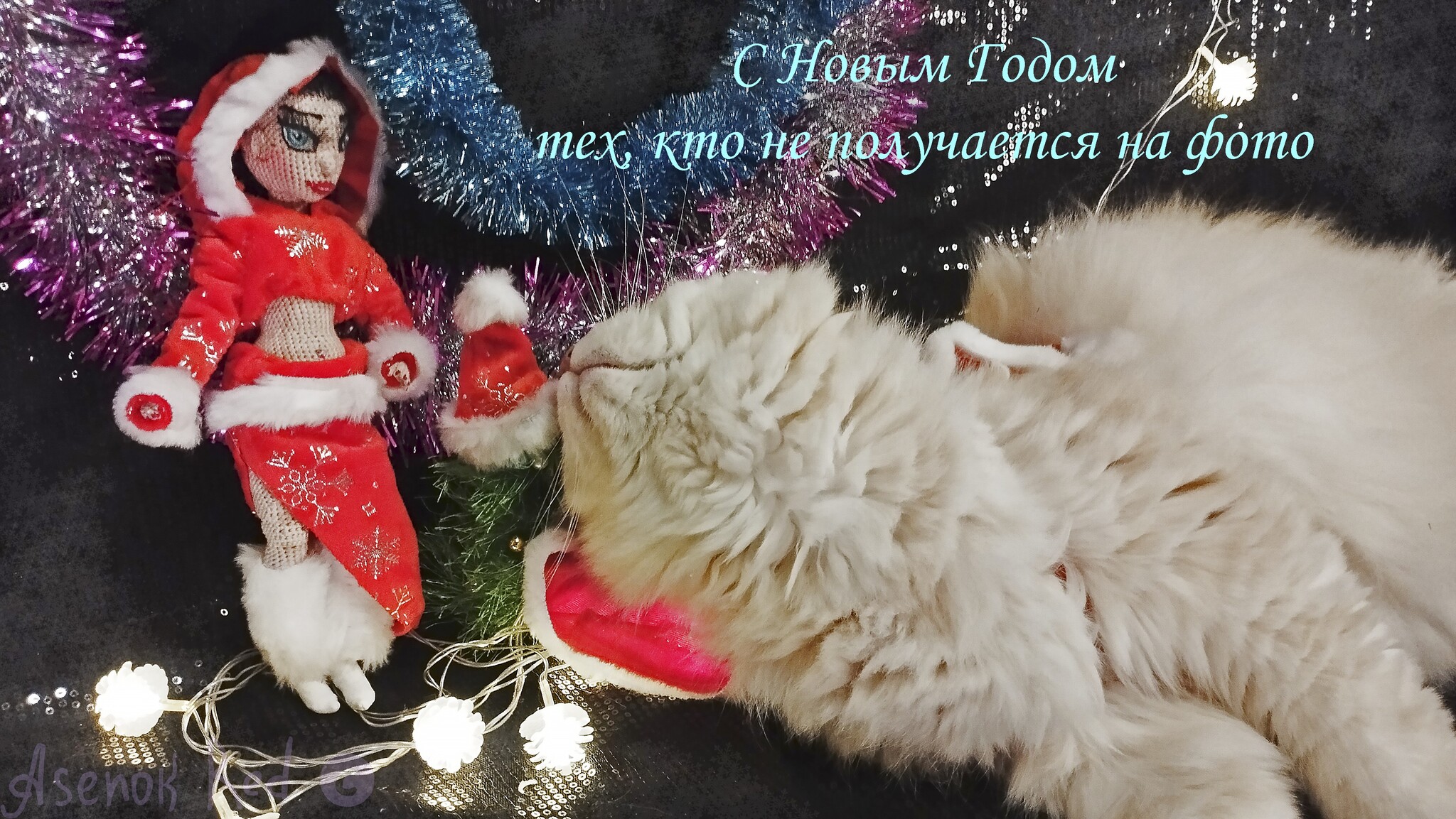 Рождественская открытка Merry Christmas Белый кот - Vilki Books