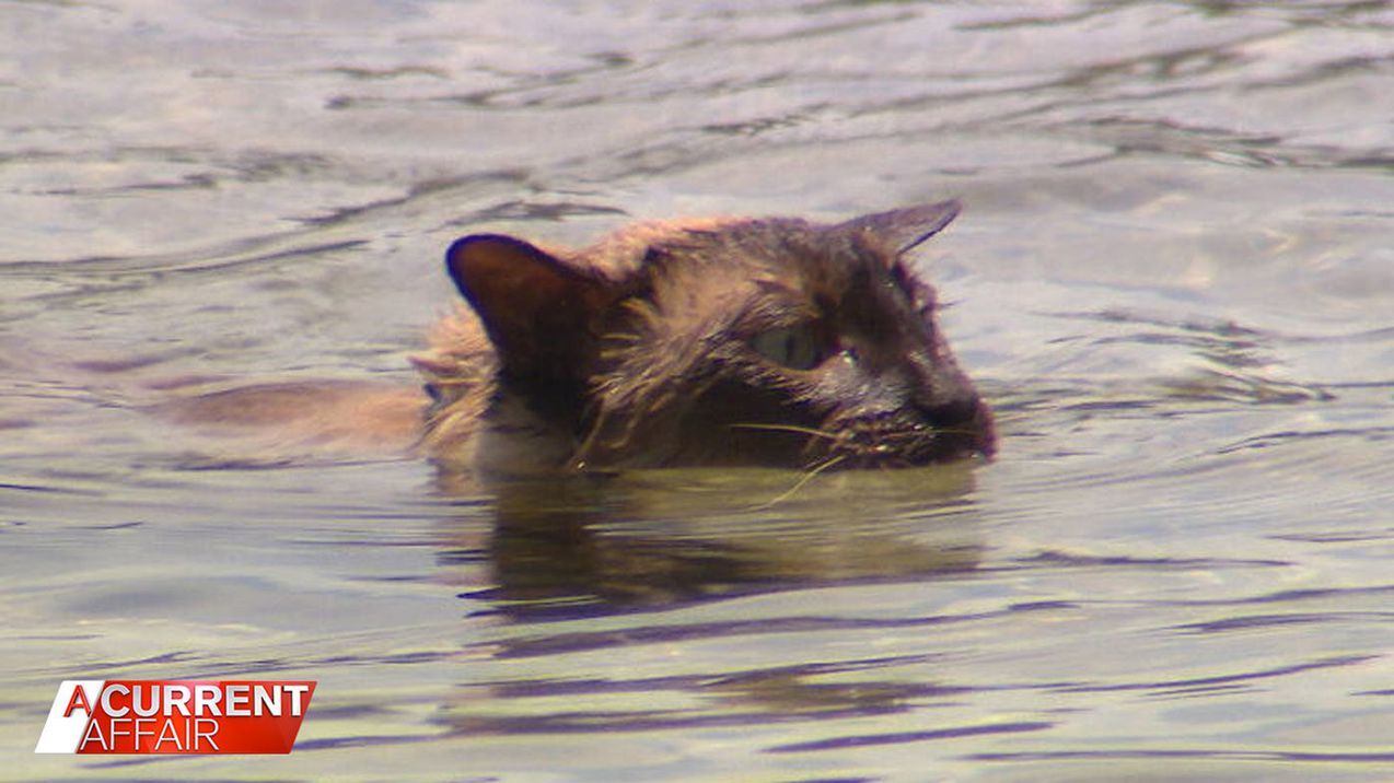 Момент нашей встречи