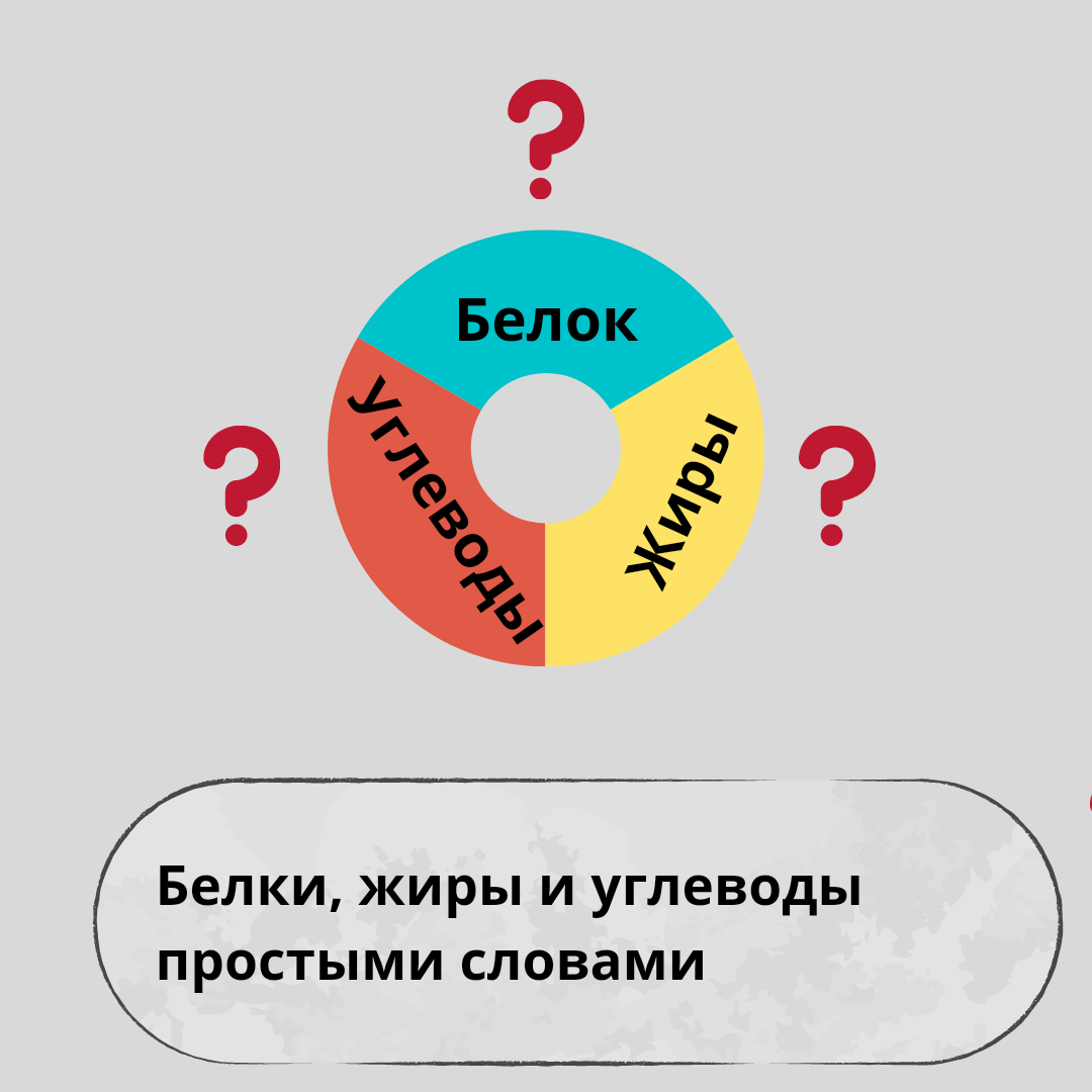 Белки, жиры и углеводы, простыми словами | Пикабу