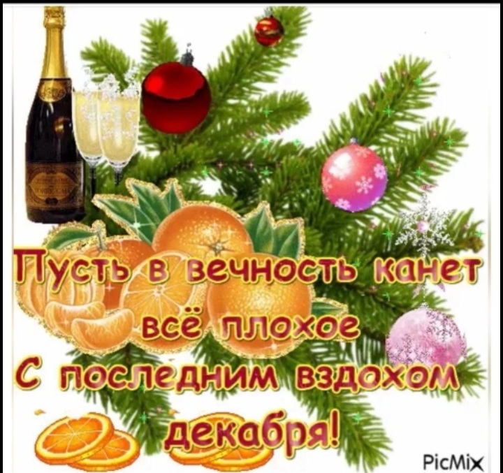 Новогодние пожелания | Пикабу
