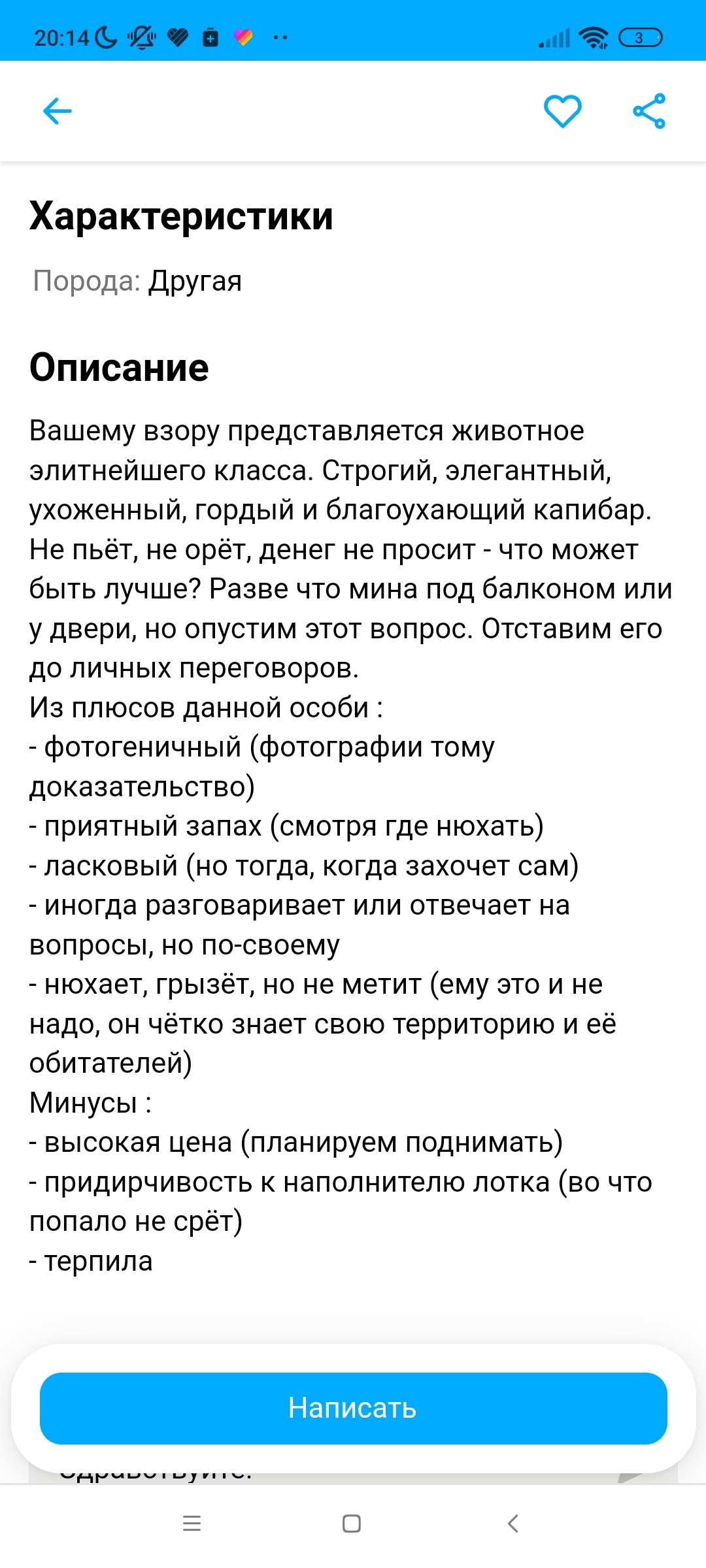 Хочу купить капибару | Пикабу