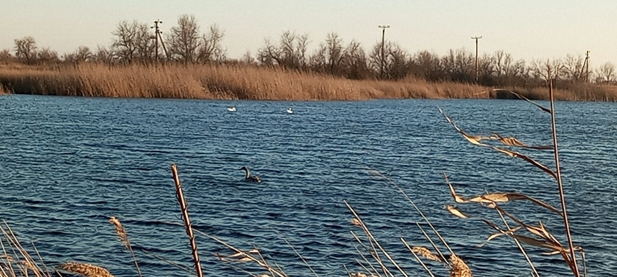 Зимняя рыбалка | Пикабу