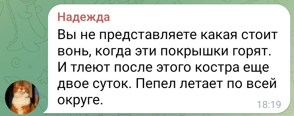 Избушки на курьих ножках на самом деле стояли в российских лесах | Собеседник на скамейке | Дзен