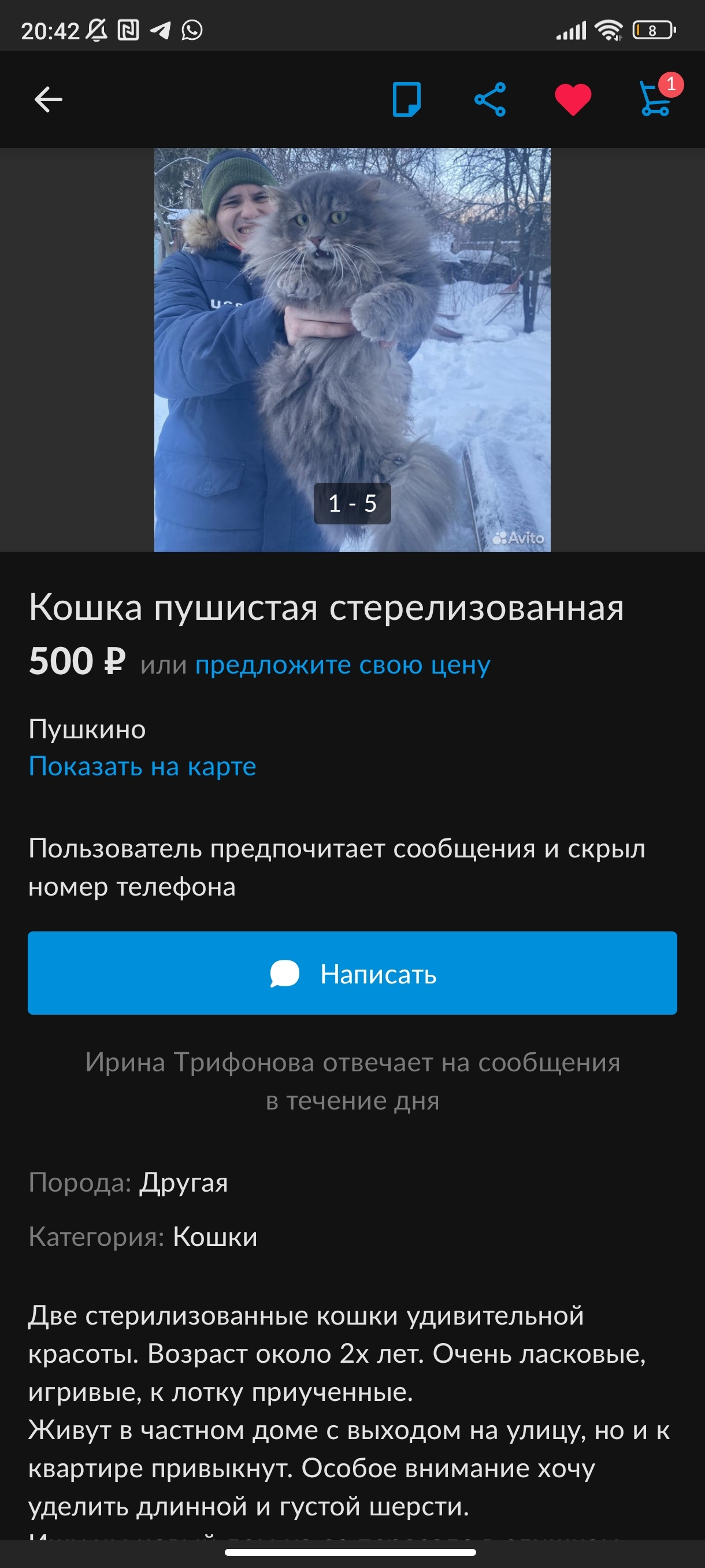 Продавали кота))) | Пикабу