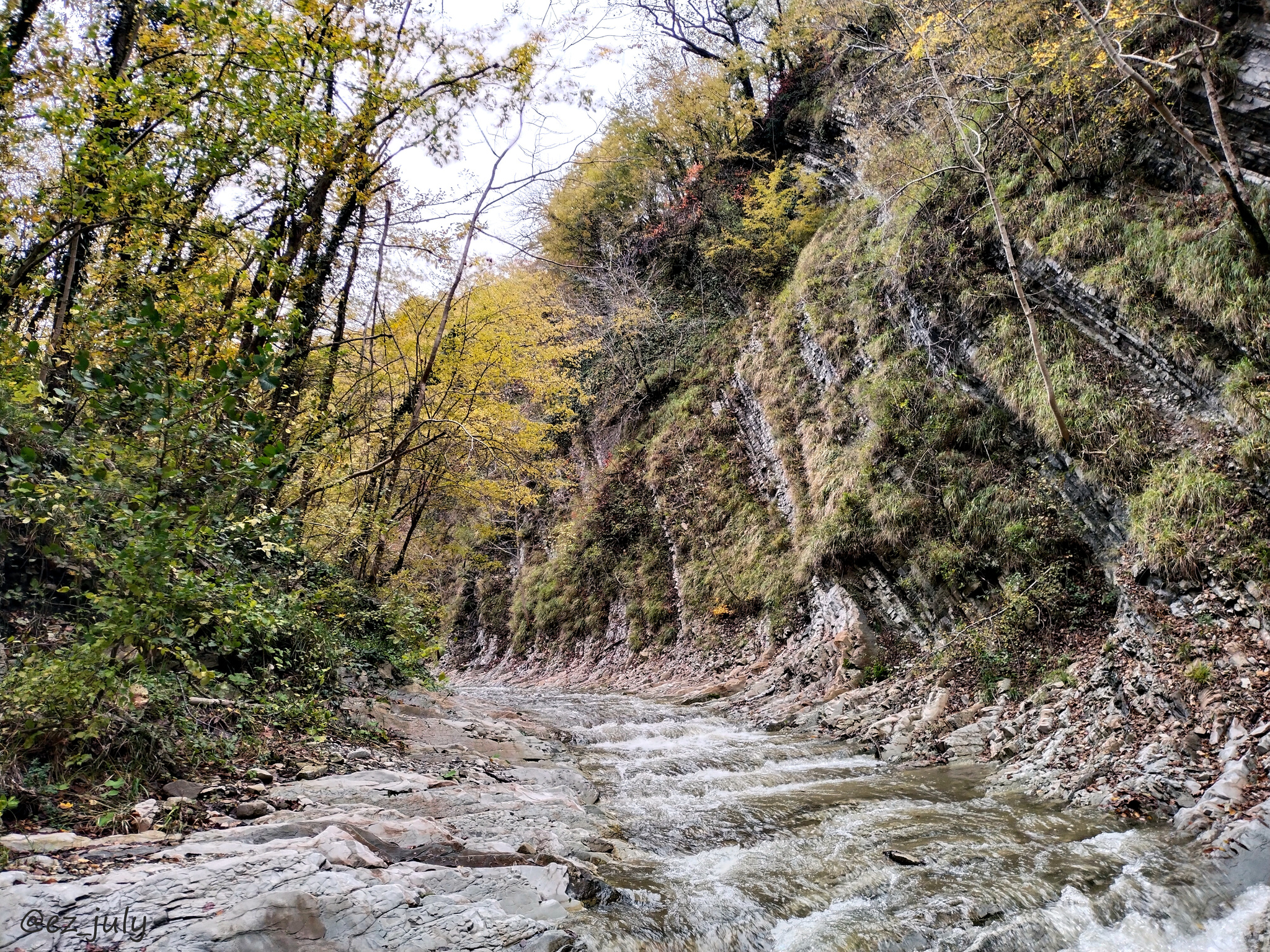 Волчье ущелье. Водопад на реке паук Туапсе. Ущелье Волчьи ворота Краснодарский край. Леса Туапсе. Река паук в Туапсе.