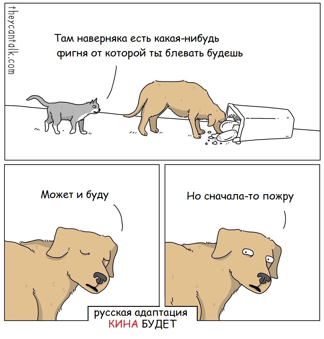 Типичная собака | Пикабу