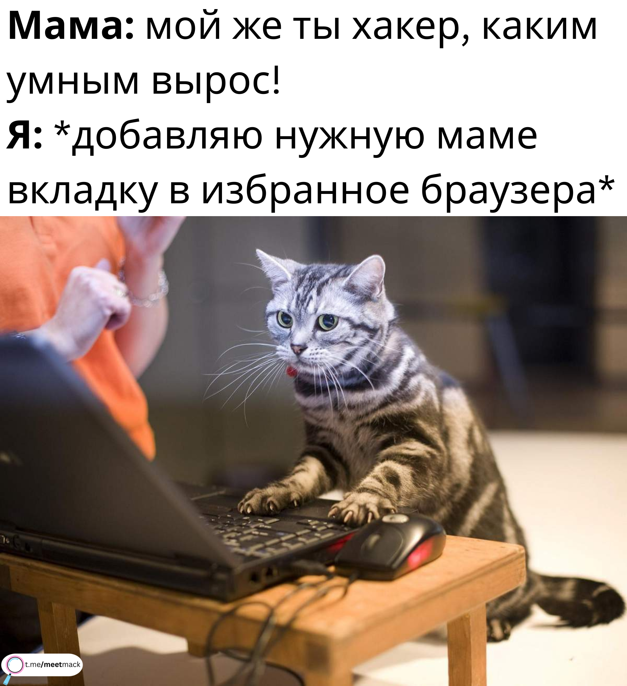 Hackerman | Пикабу