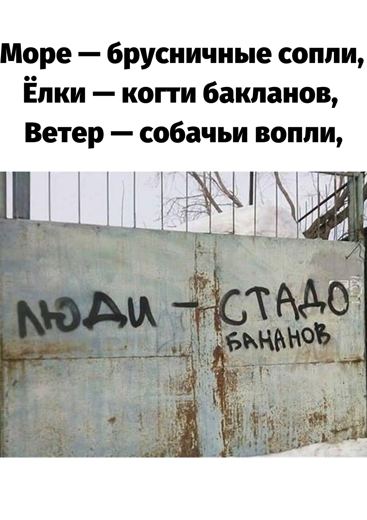 Вечное | Пикабу