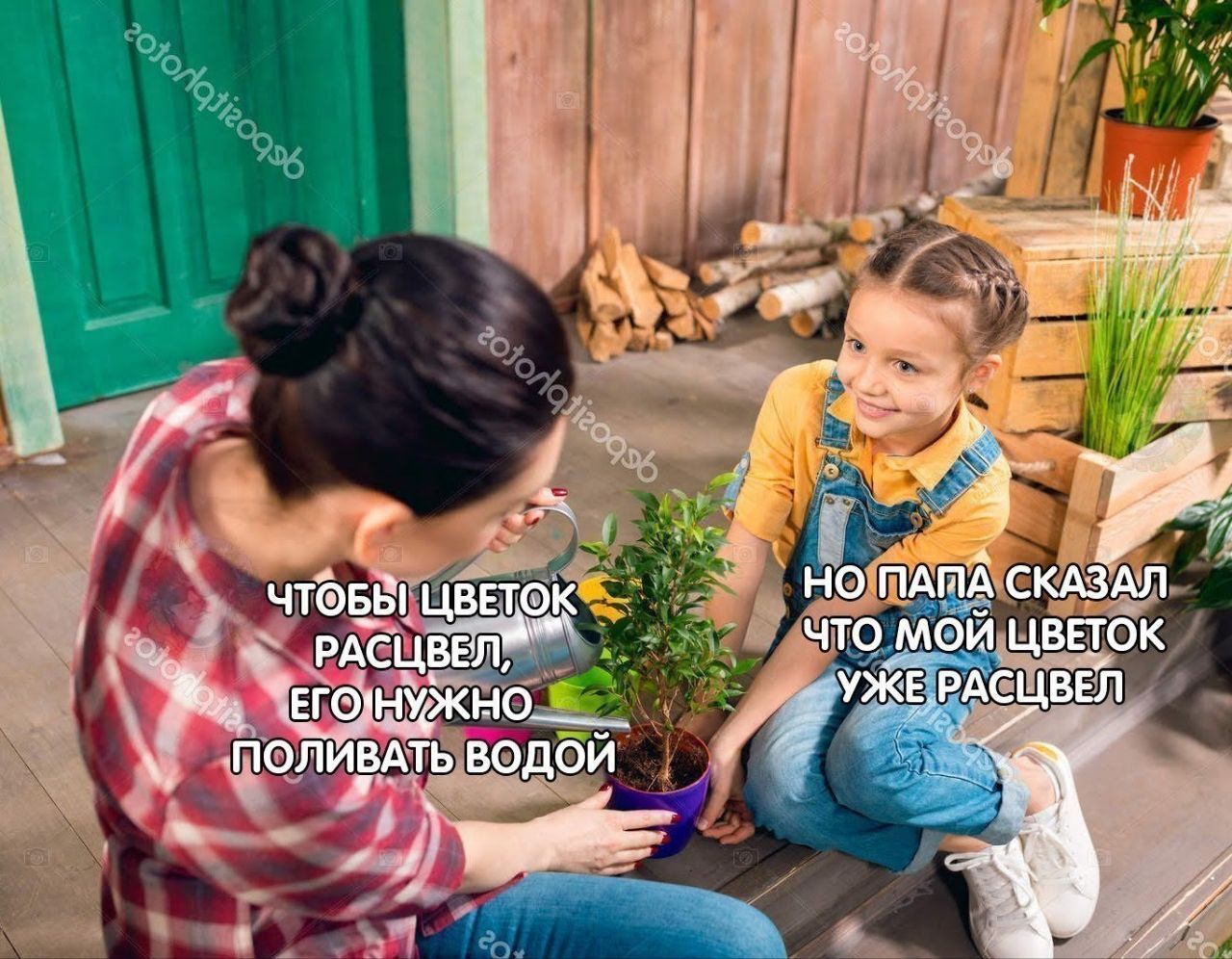 Цветок | Пикабу