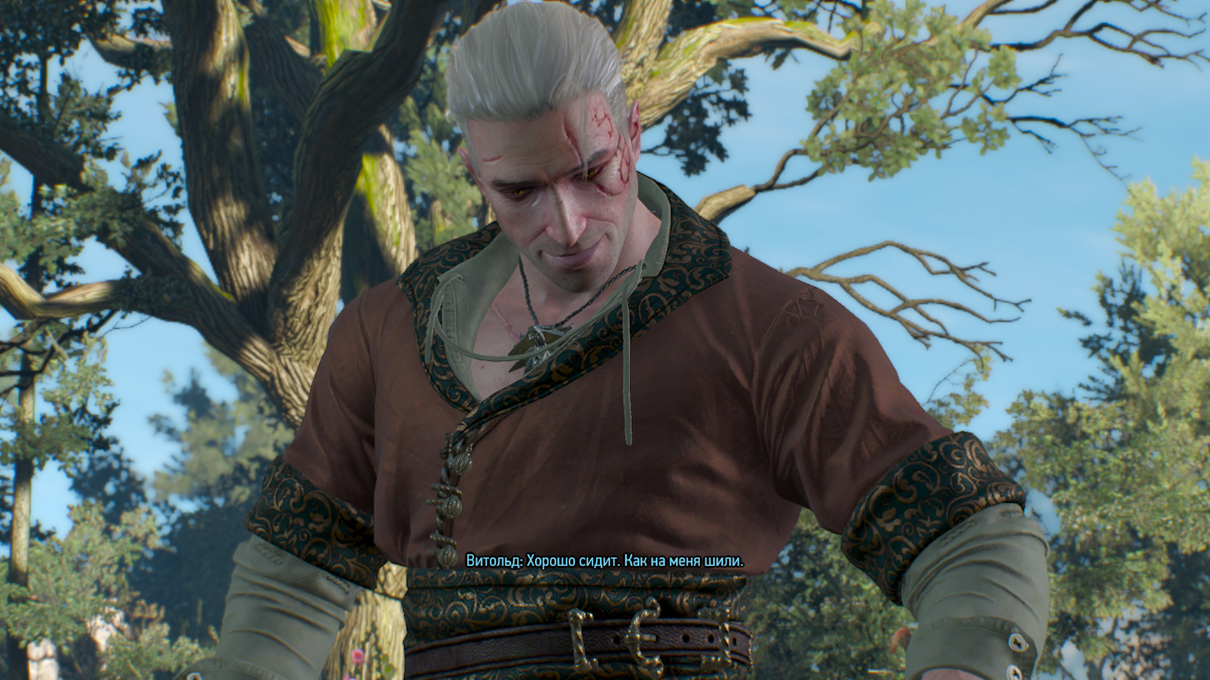 The witcher 3 hearts of stone song фото 68