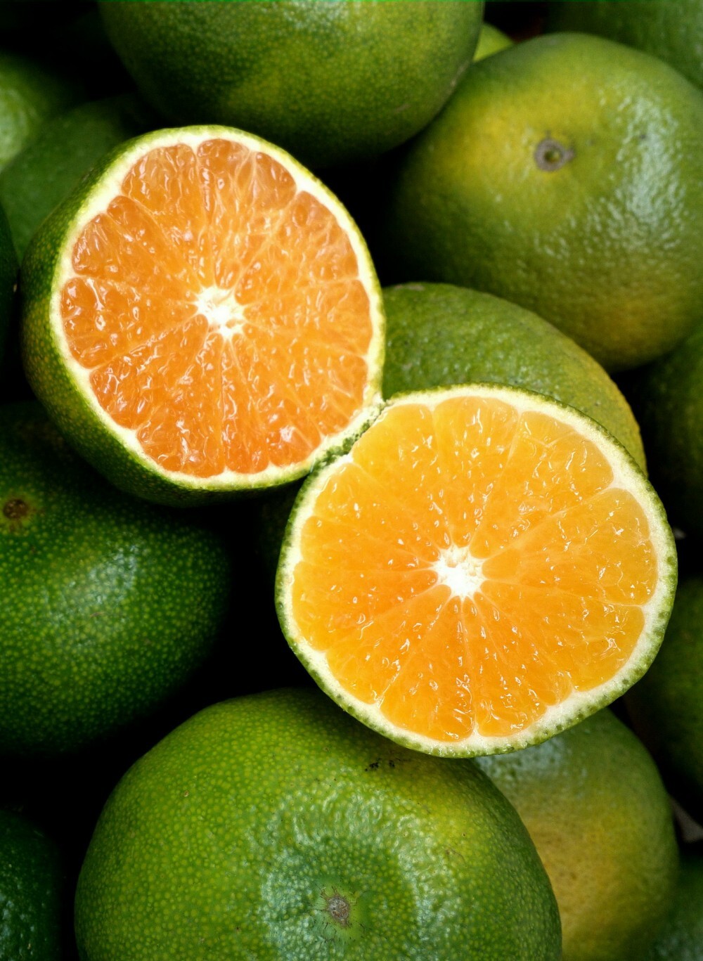 Померанец зеленый фрукт