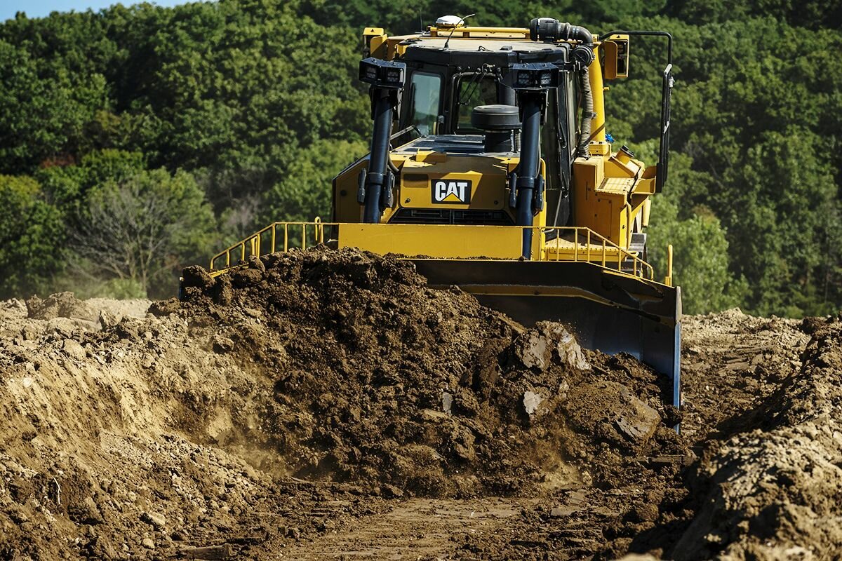 Как переводятся названия известных брендов Caterpillar, Amazon и Ritter  Sport? | Пикабу