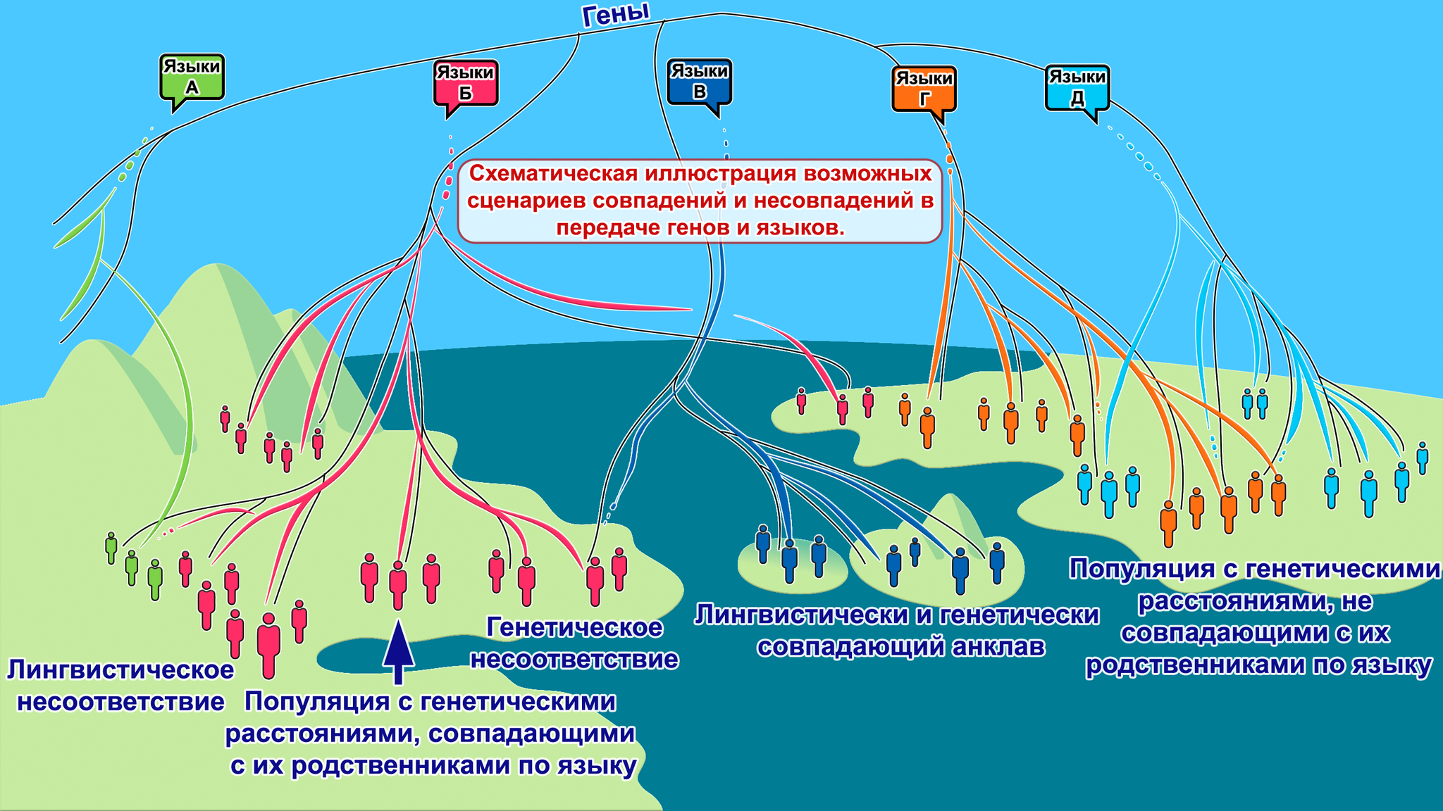 Славянизация финно-угров Волго-Окского междуречья. Языки и гены от  железного века до славян | Пикабу