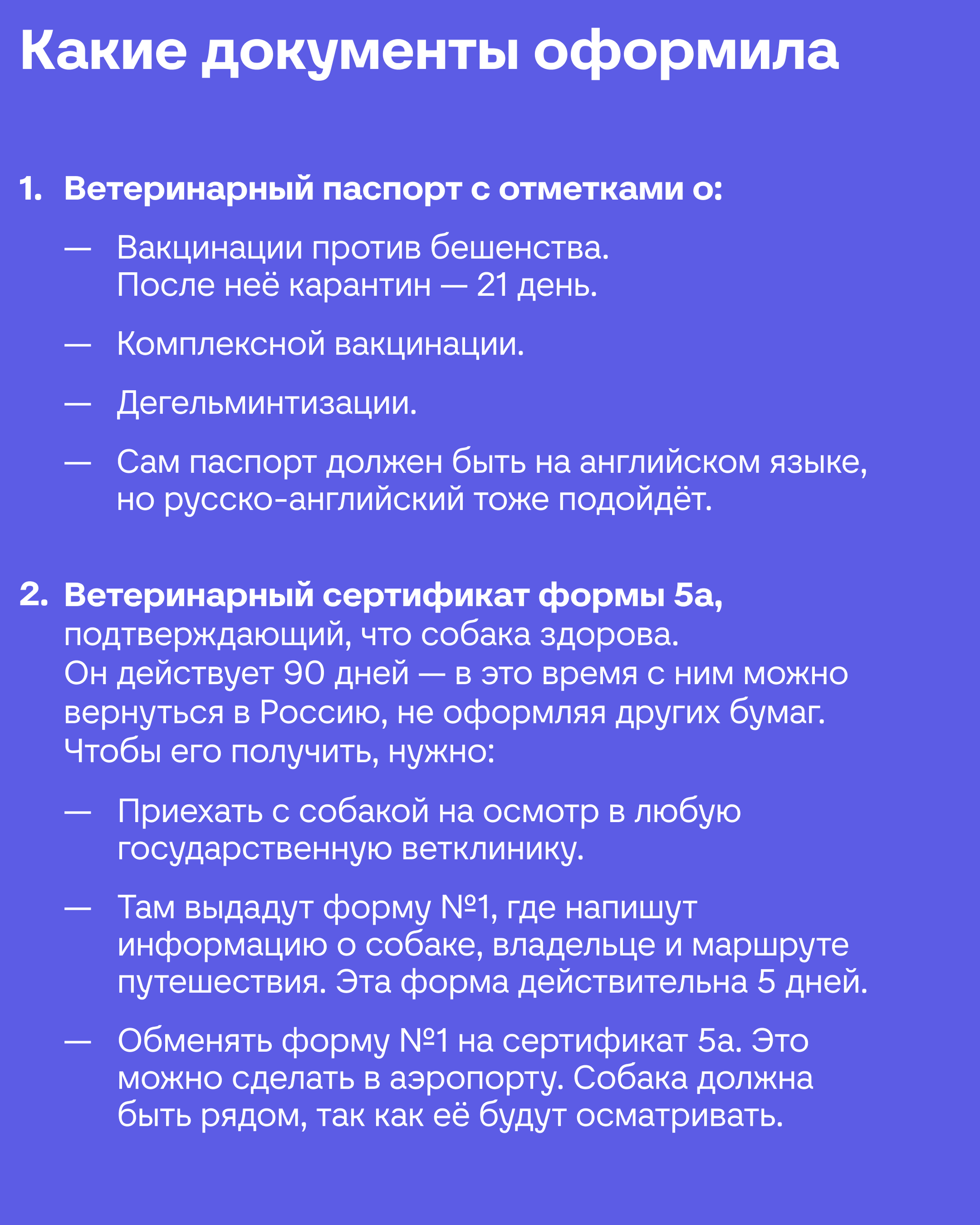 Личный опыт: как перевезти собаку в Тбилиси | Пикабу