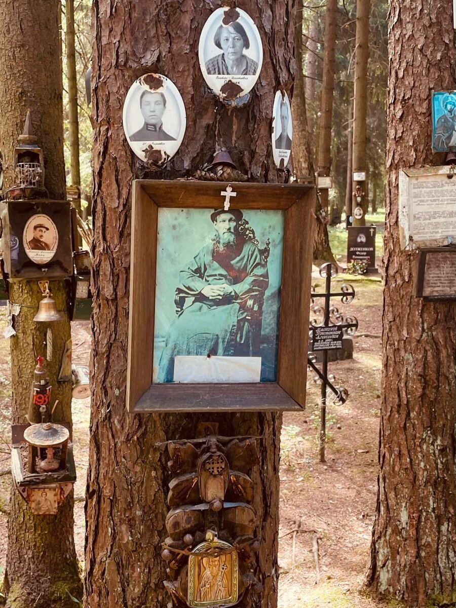 Левашовская пустошь. Мемориал сталинских репрессий в Петербурге | Пикабу