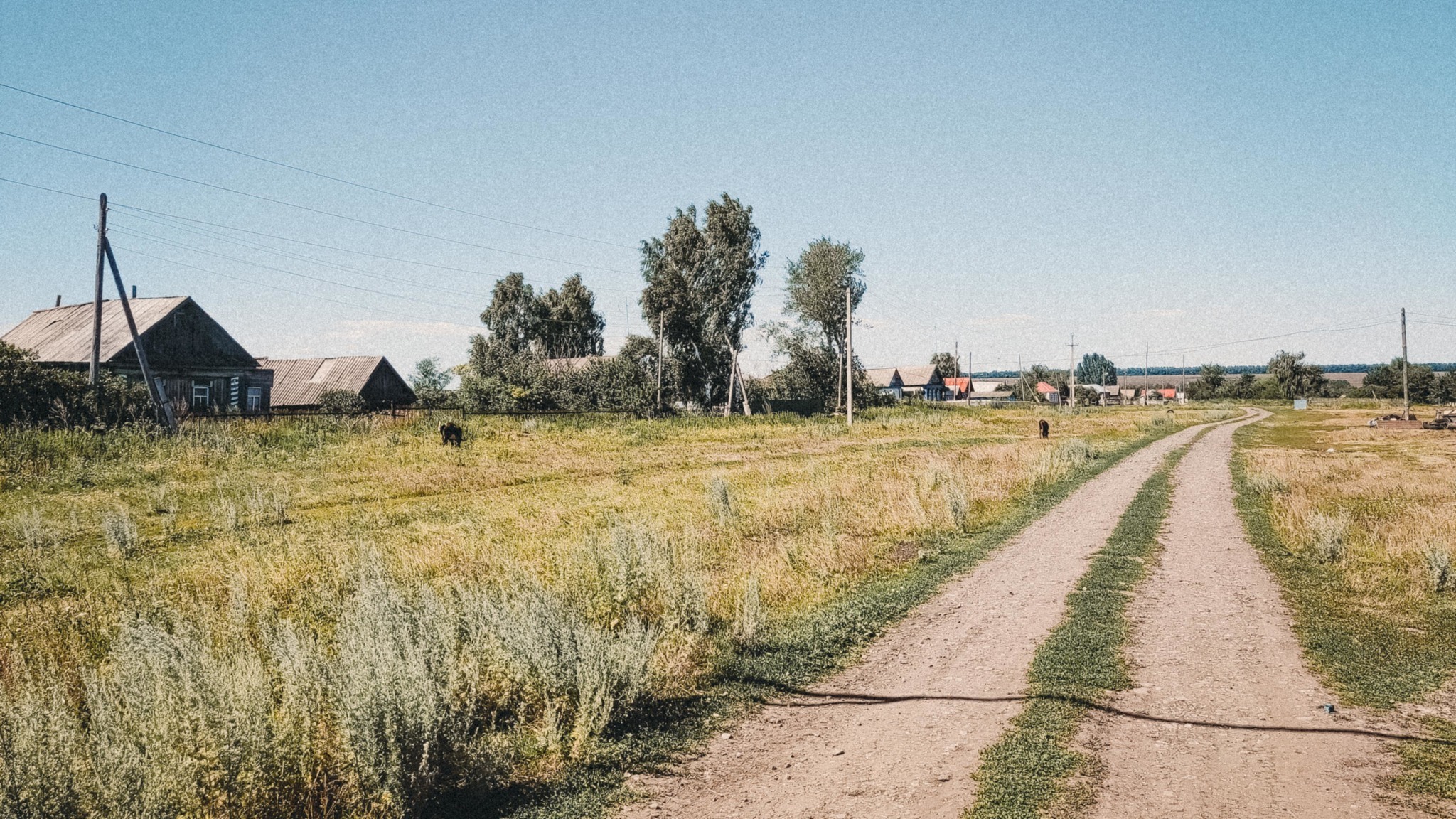 Лето в деревне | Пикабу