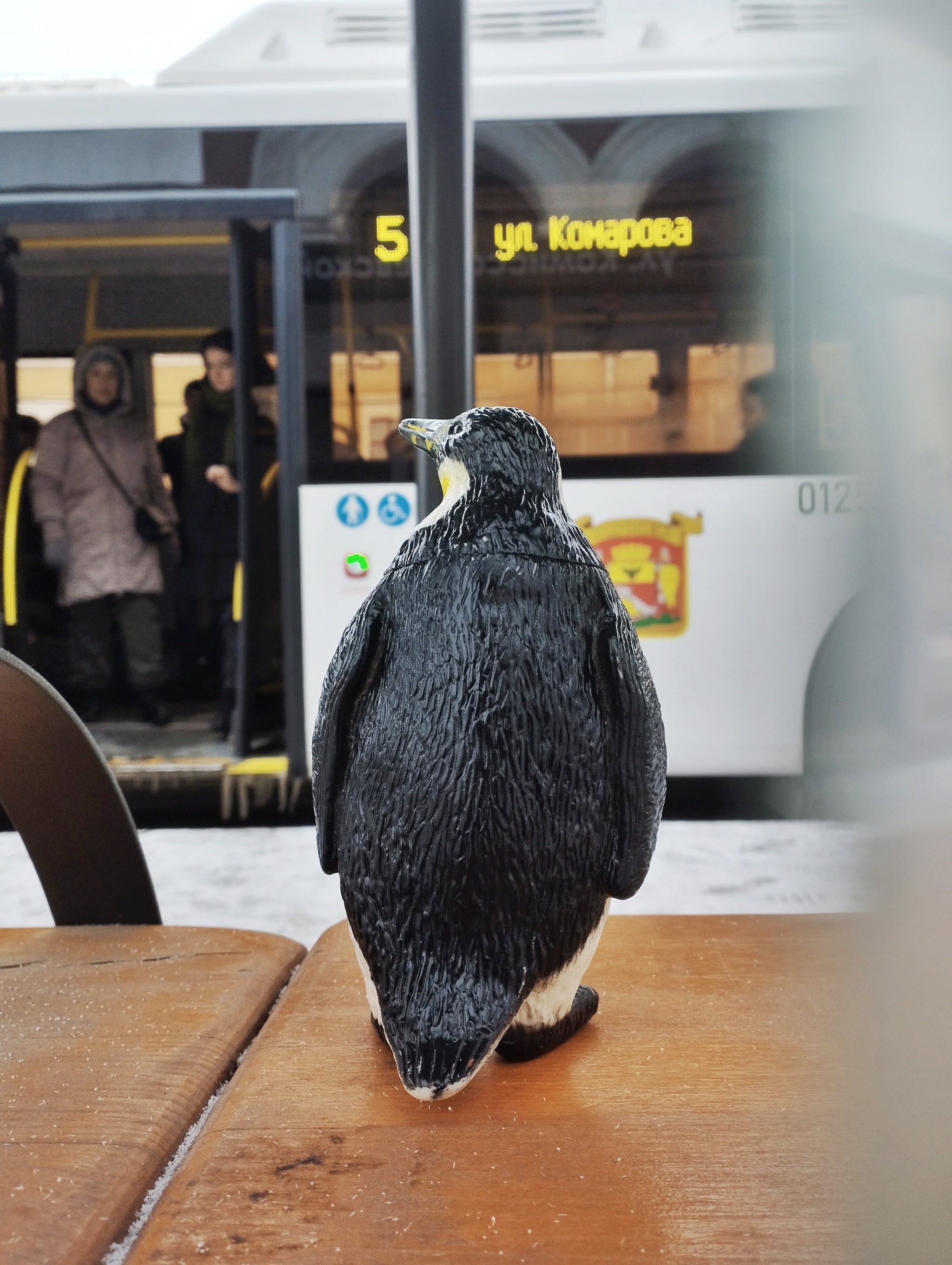 Приключения пингвина | Пикабу