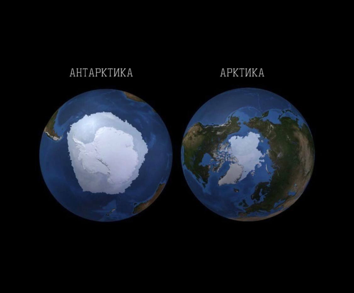 Два региона на полюсах Земли противоположны друг другу не только по  географическому положению: | Пикабу